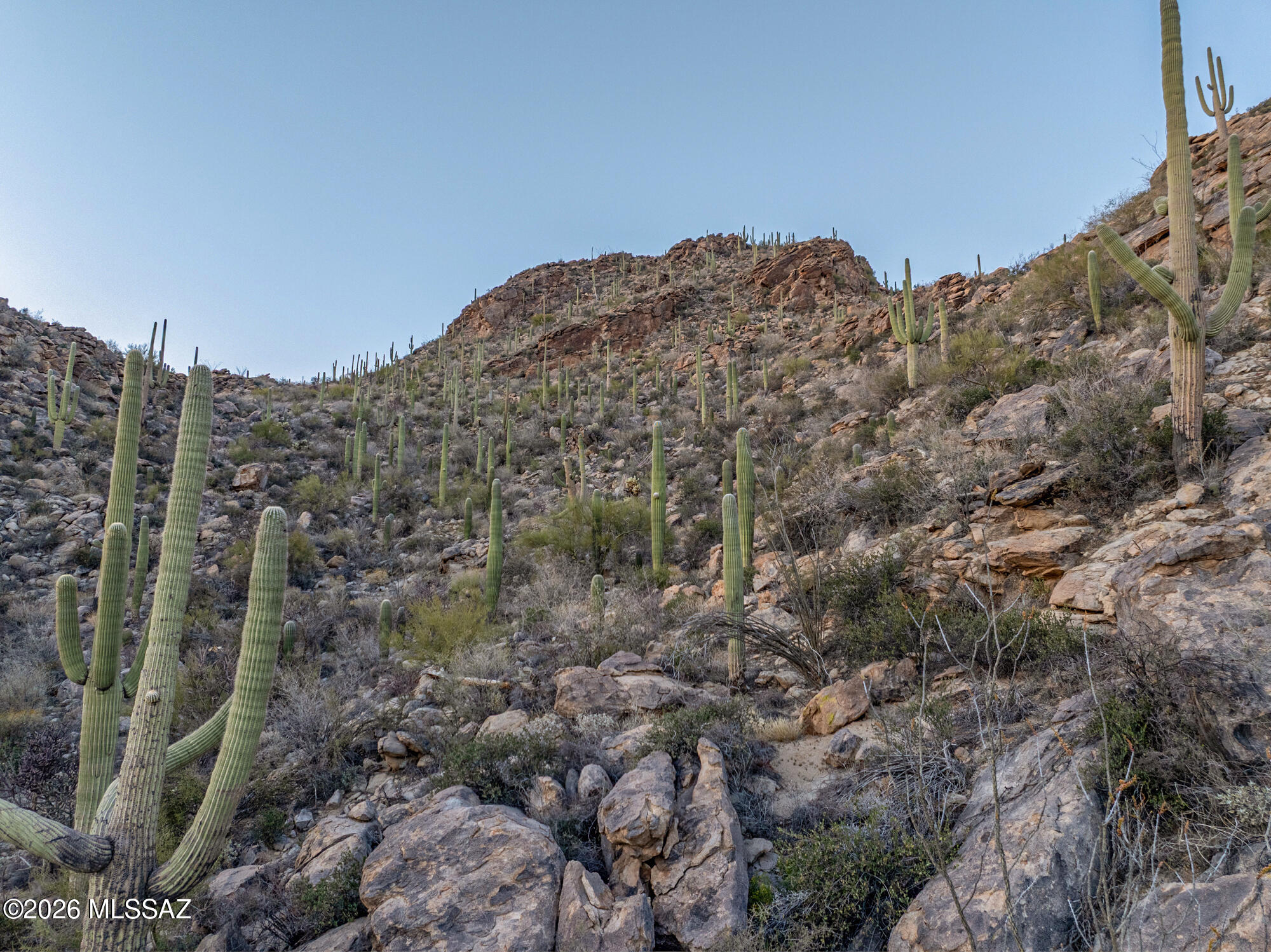 Saguaro Ranch (9-52) Blks. 1-4 - Land