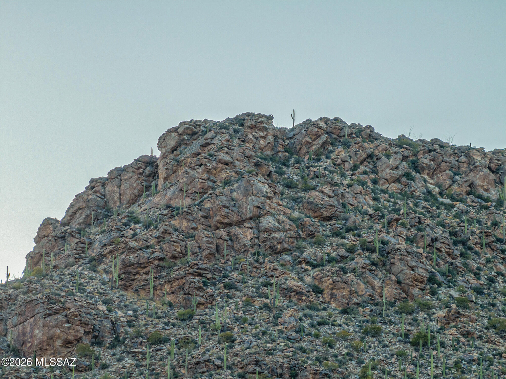 Saguaro Ranch (9-52) Blks. 1-4 - Land