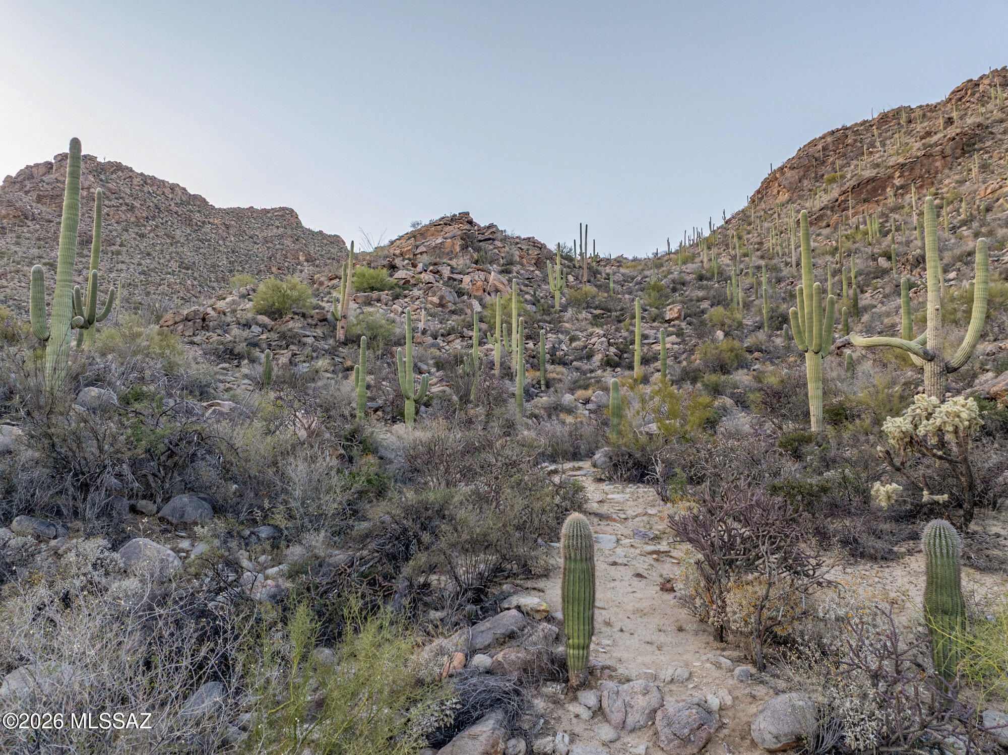 Saguaro Ranch (9-52) Blks. 1-4 - Land