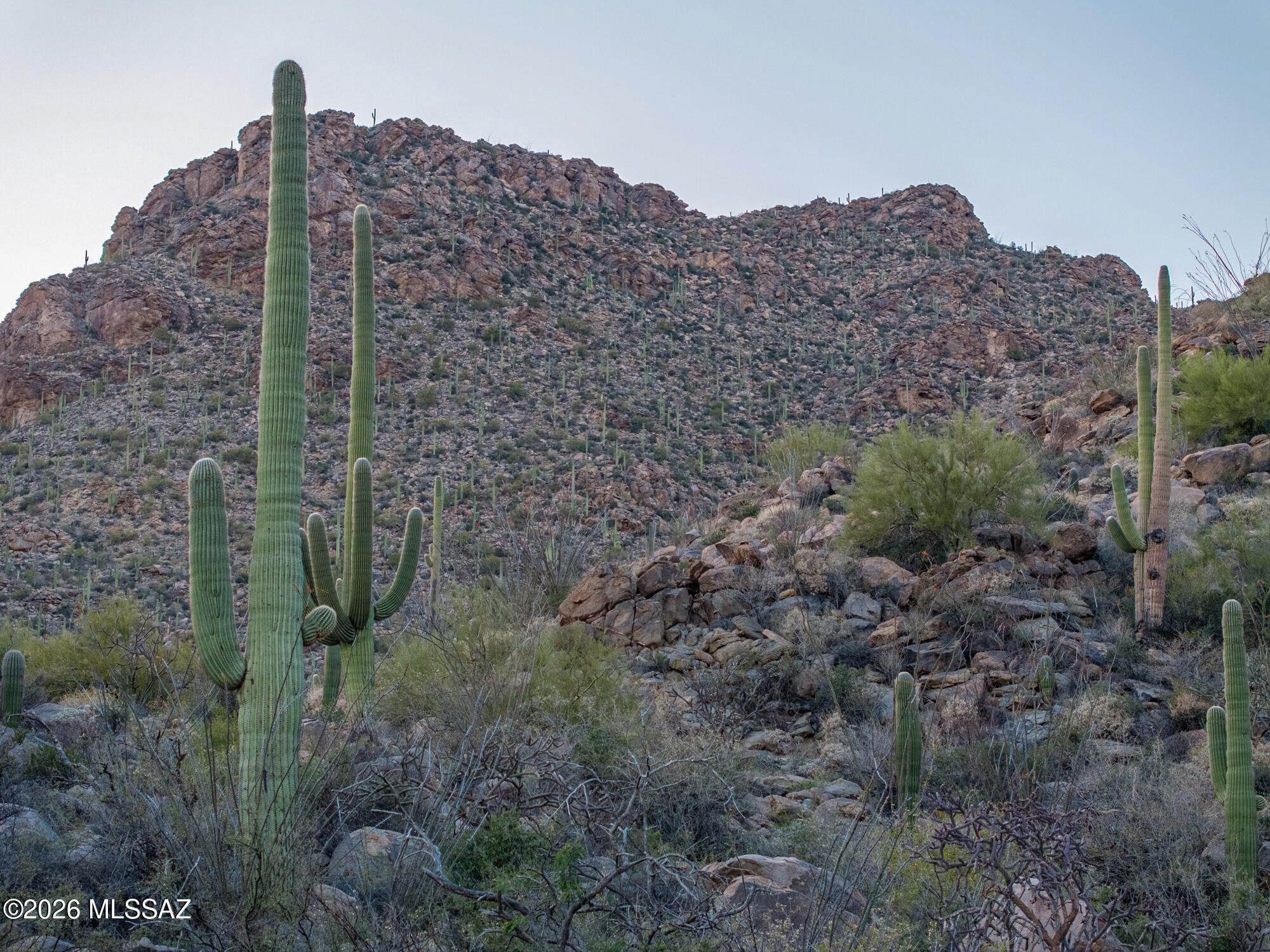 Saguaro Ranch (9-52) Blks. 1-4 - Land