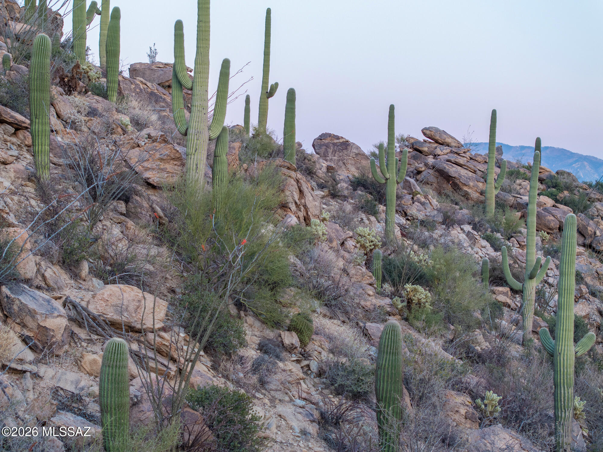 Saguaro Ranch (9-52) Blks. 1-4 - Land