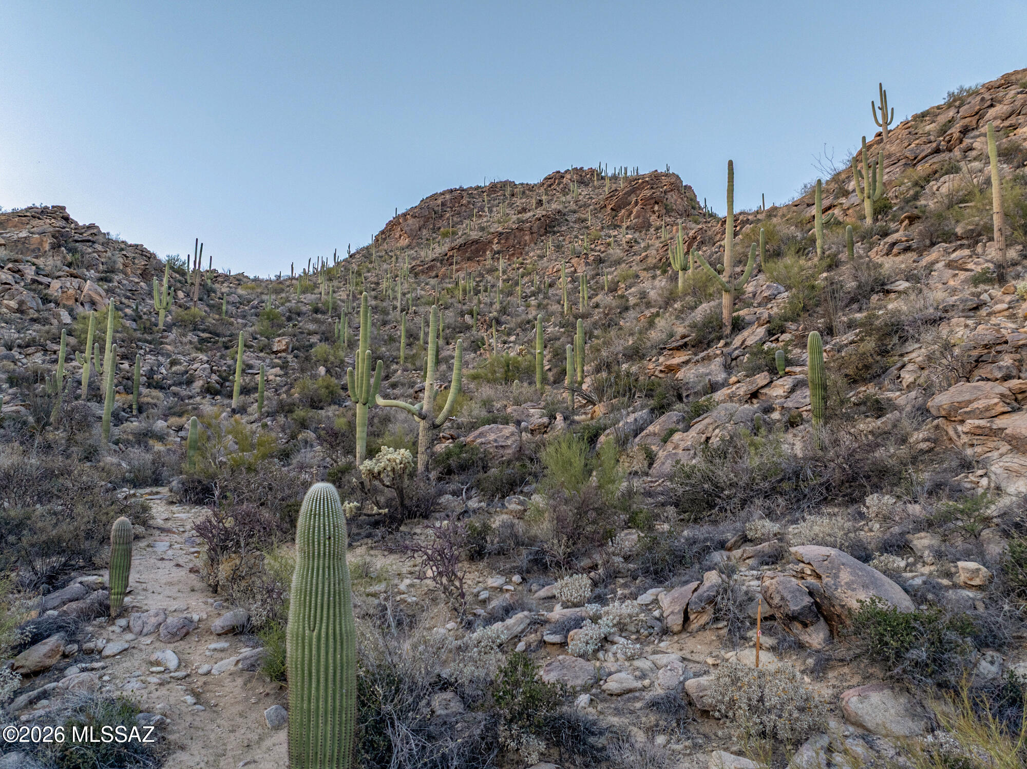 Saguaro Ranch (9-52) Blks. 1-4 - Land