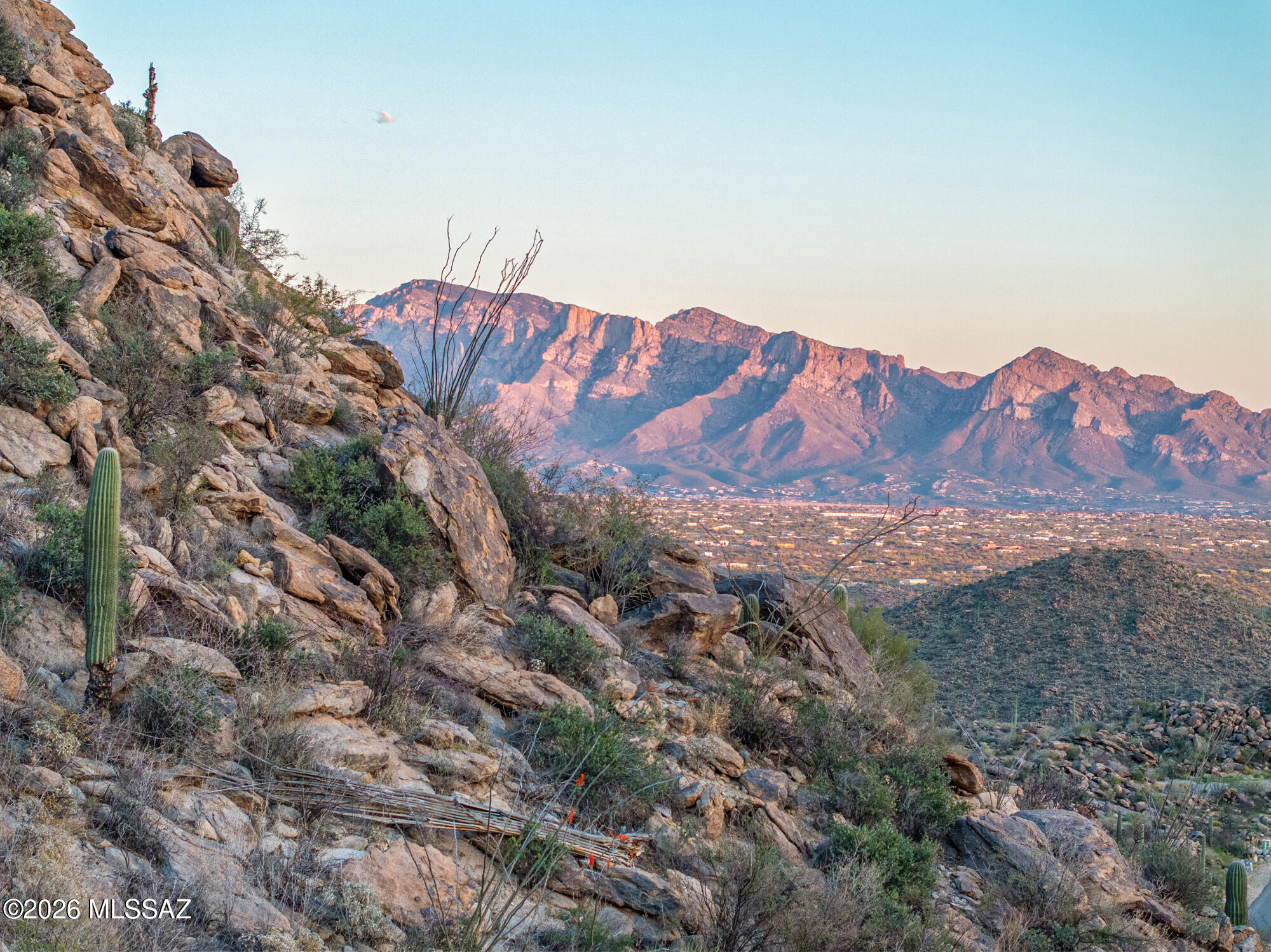 Saguaro Ranch (9-52) Blks. 1-4 - Land