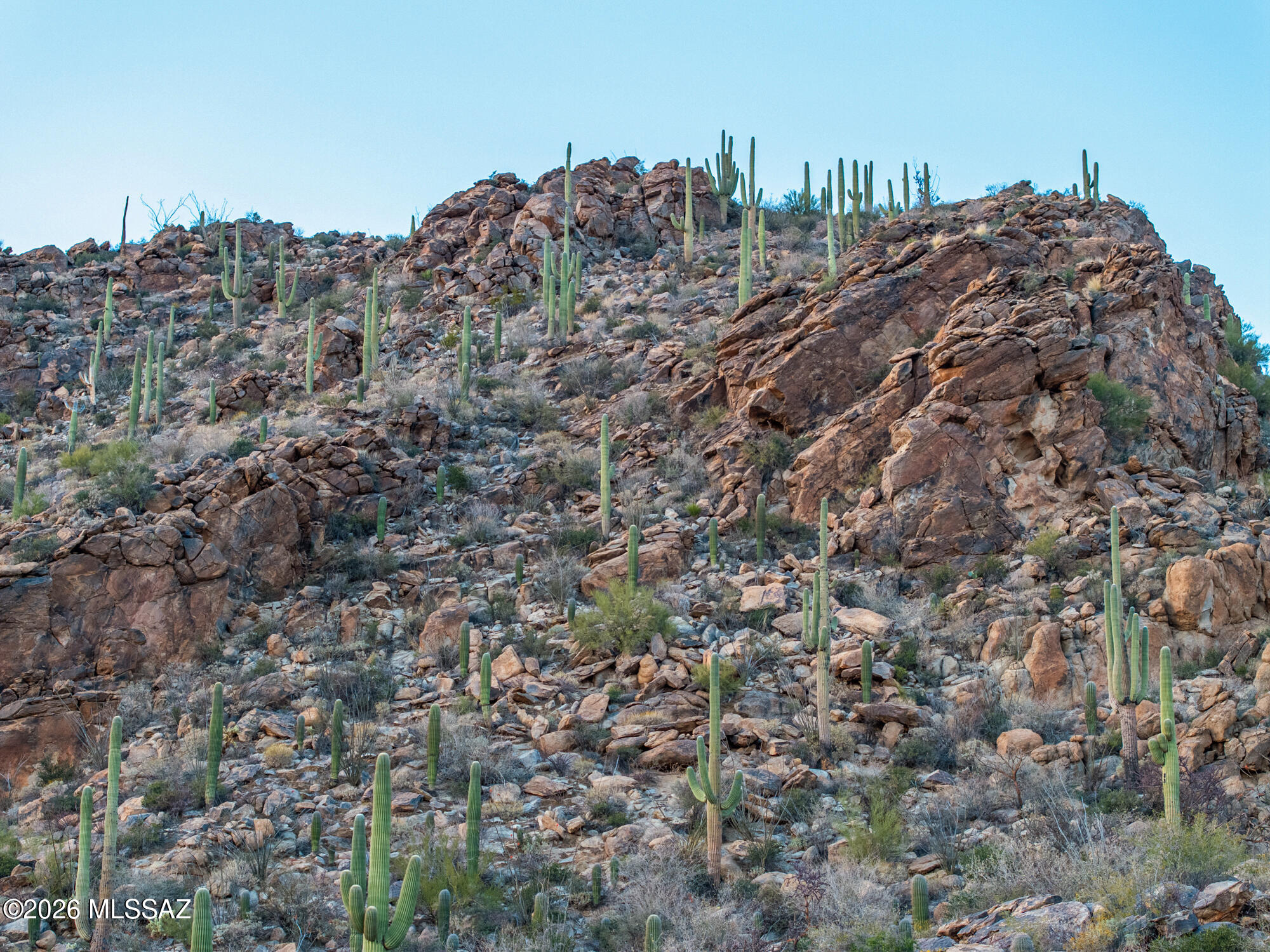 Saguaro Ranch (9-52) Blks. 1-4 - Land