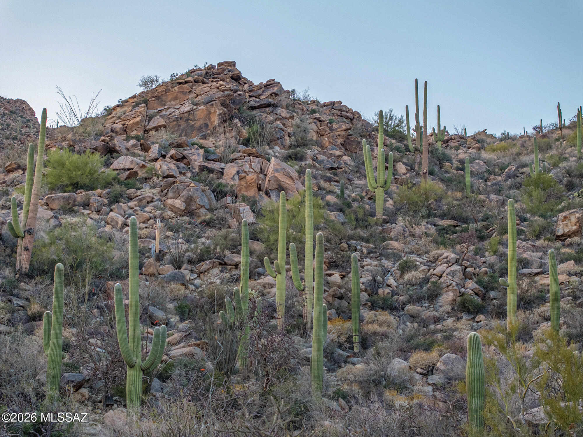 Saguaro Ranch (9-52) Blks. 1-4 - Land