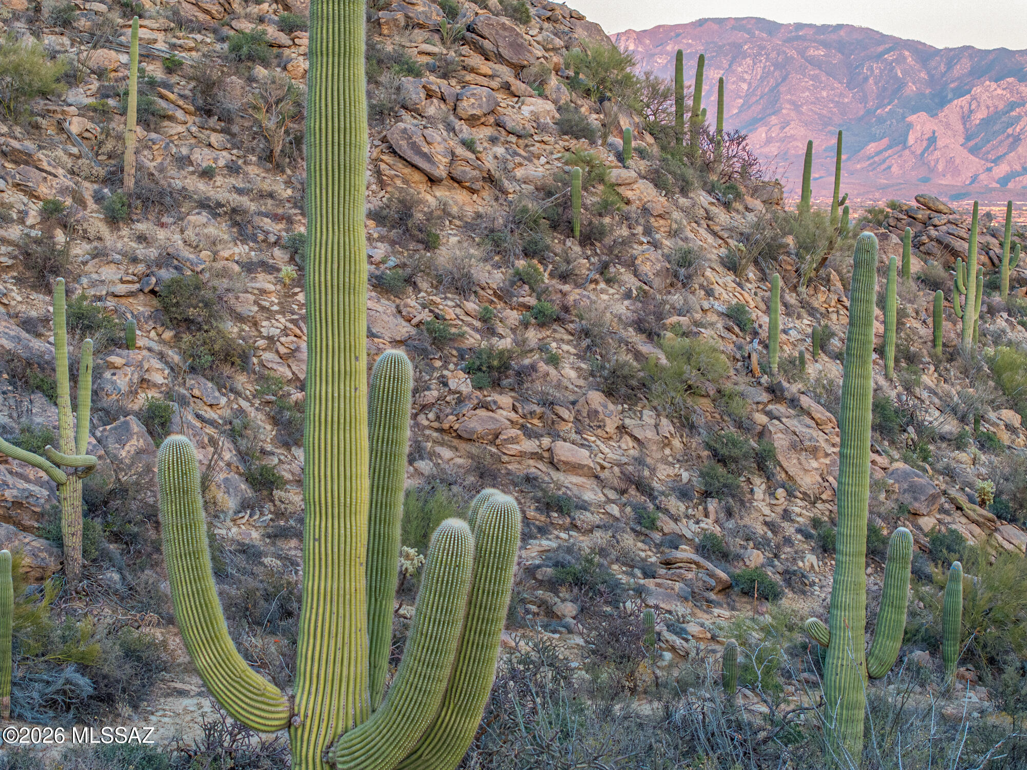 Saguaro Ranch (9-52) Blks. 1-4 - Land