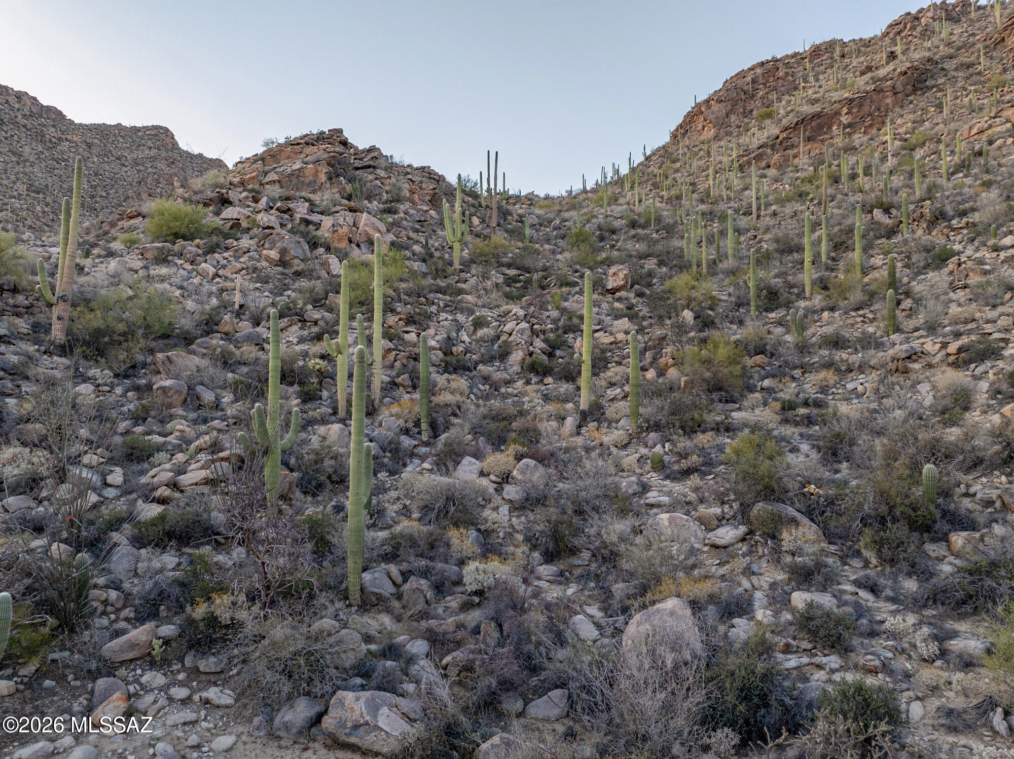 Saguaro Ranch (9-52) Blks. 1-4 - Land
