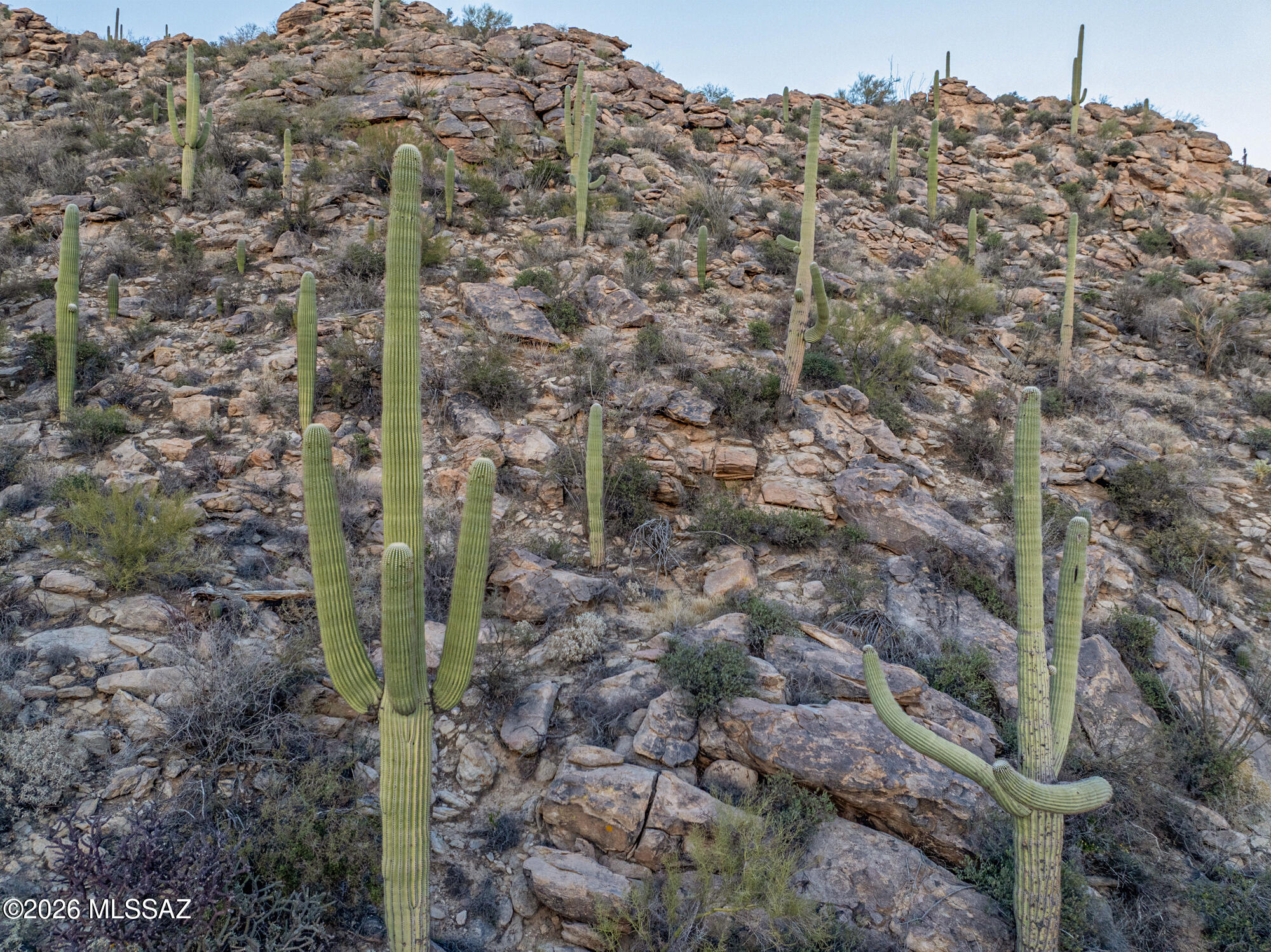 Saguaro Ranch (9-52) Blks. 1-4 - Land