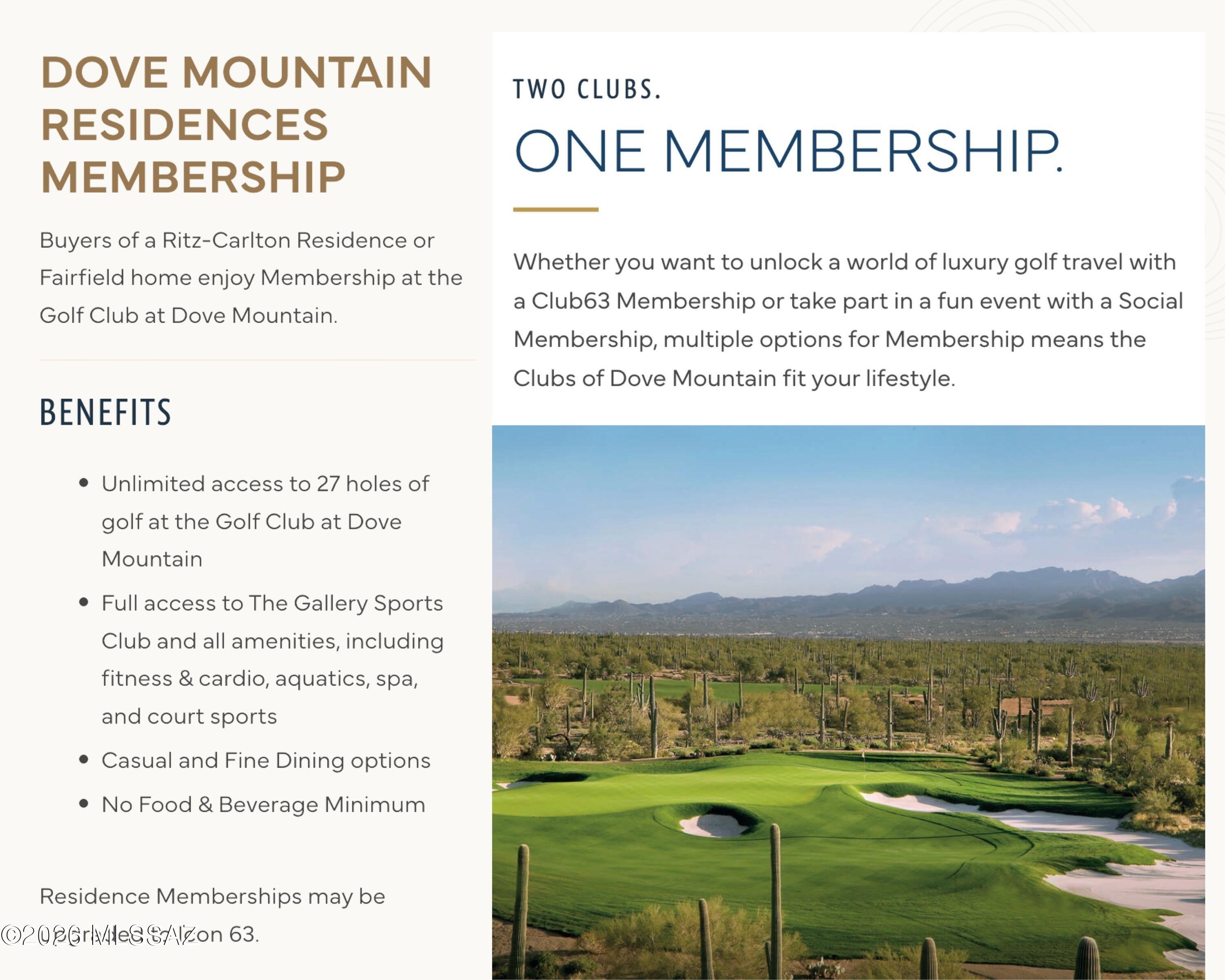 Dove Mountain Resort (1-153) - Residential