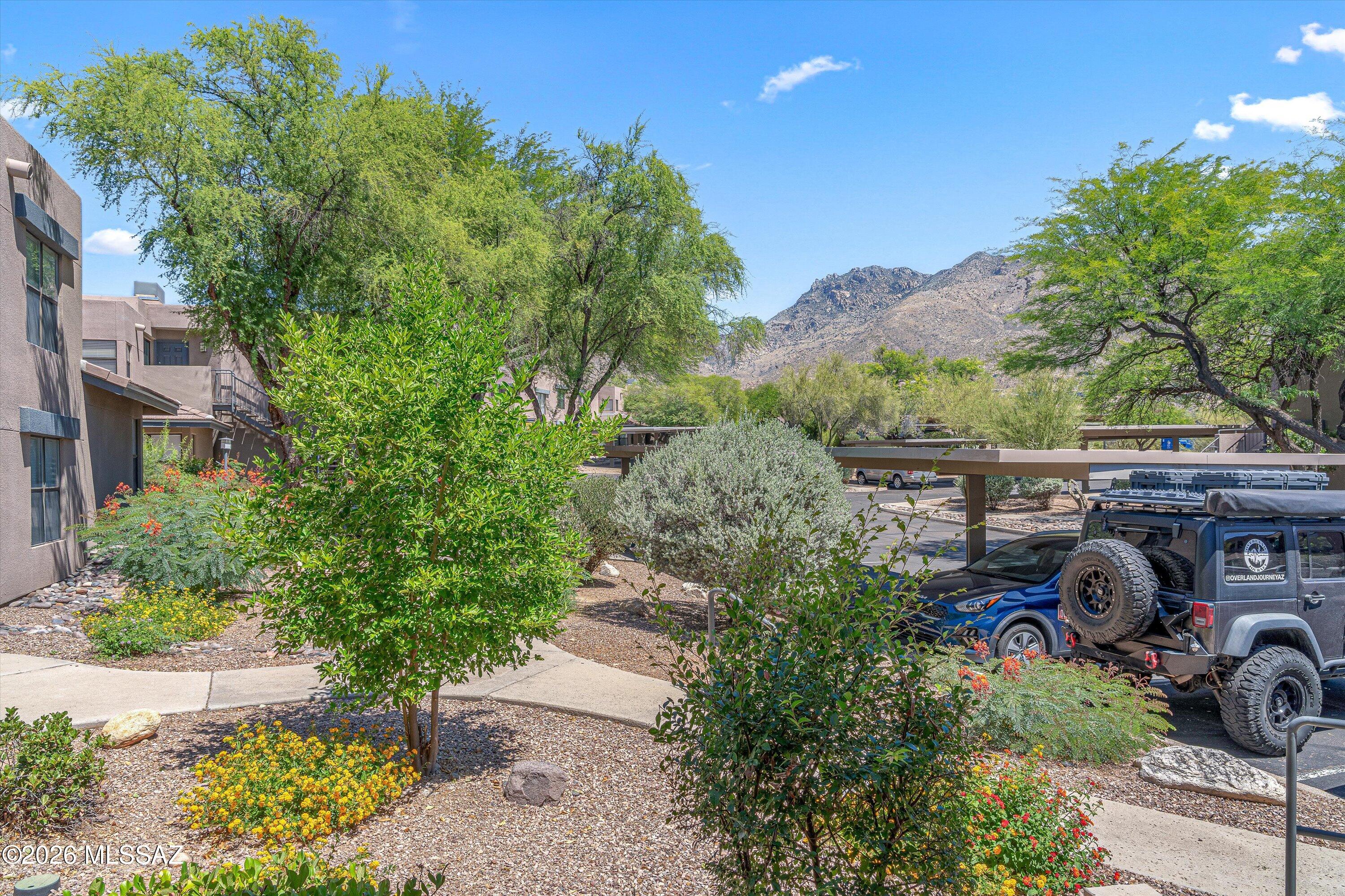 Greens at Ventana Canyon - Residential