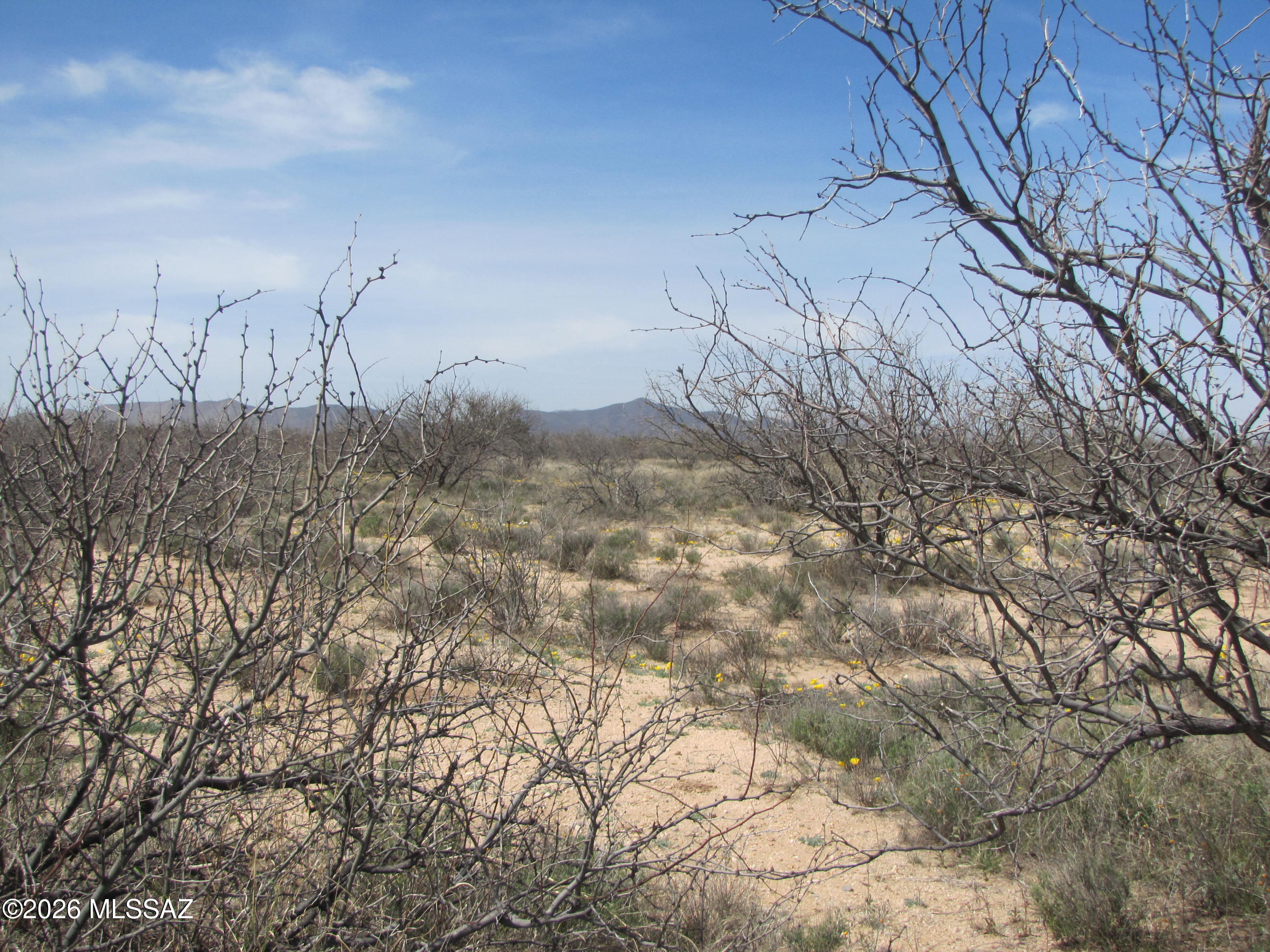 Arizona Sun Sites - Land