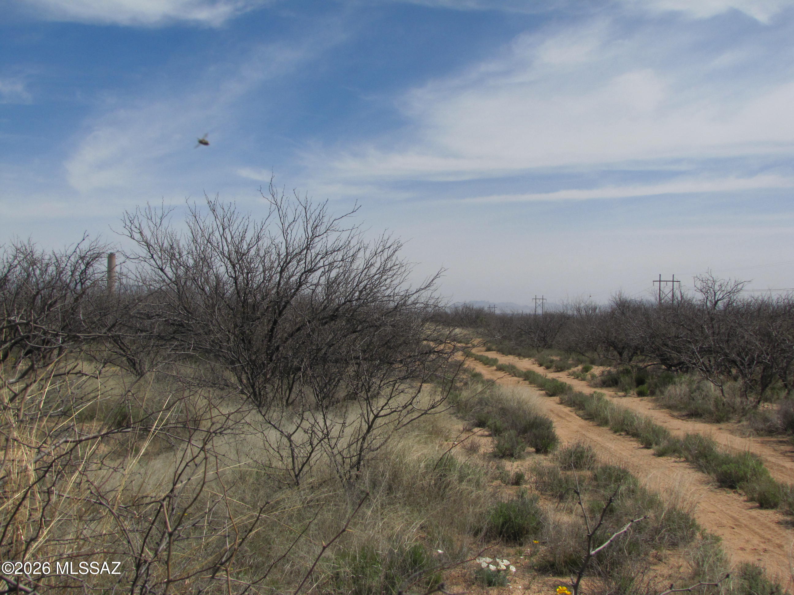 Arizona Sun Sites - Land