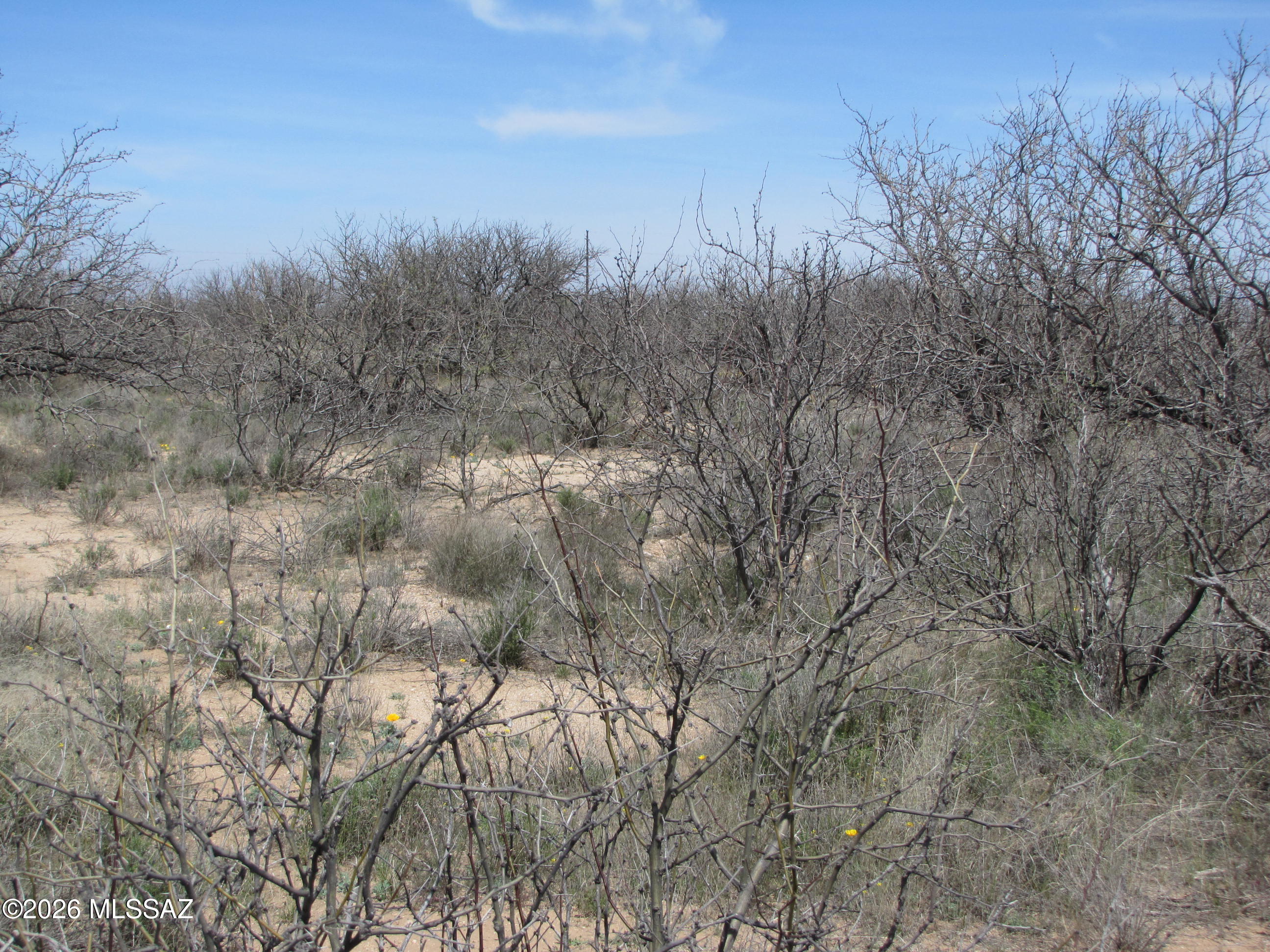 Arizona Sun Sites - Land