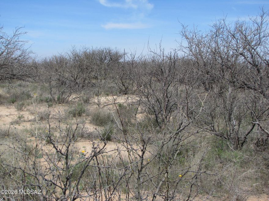 Almost an acre in this undeveloped area in Cochise, Arizona. Remote but easy access to Hwy 191 and I-10. Buyer(s) to determine exact location of parcel and develop access to it.
