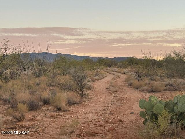Diamond Bell Ranch - Tucson Unit 7 (1-416) - Land
