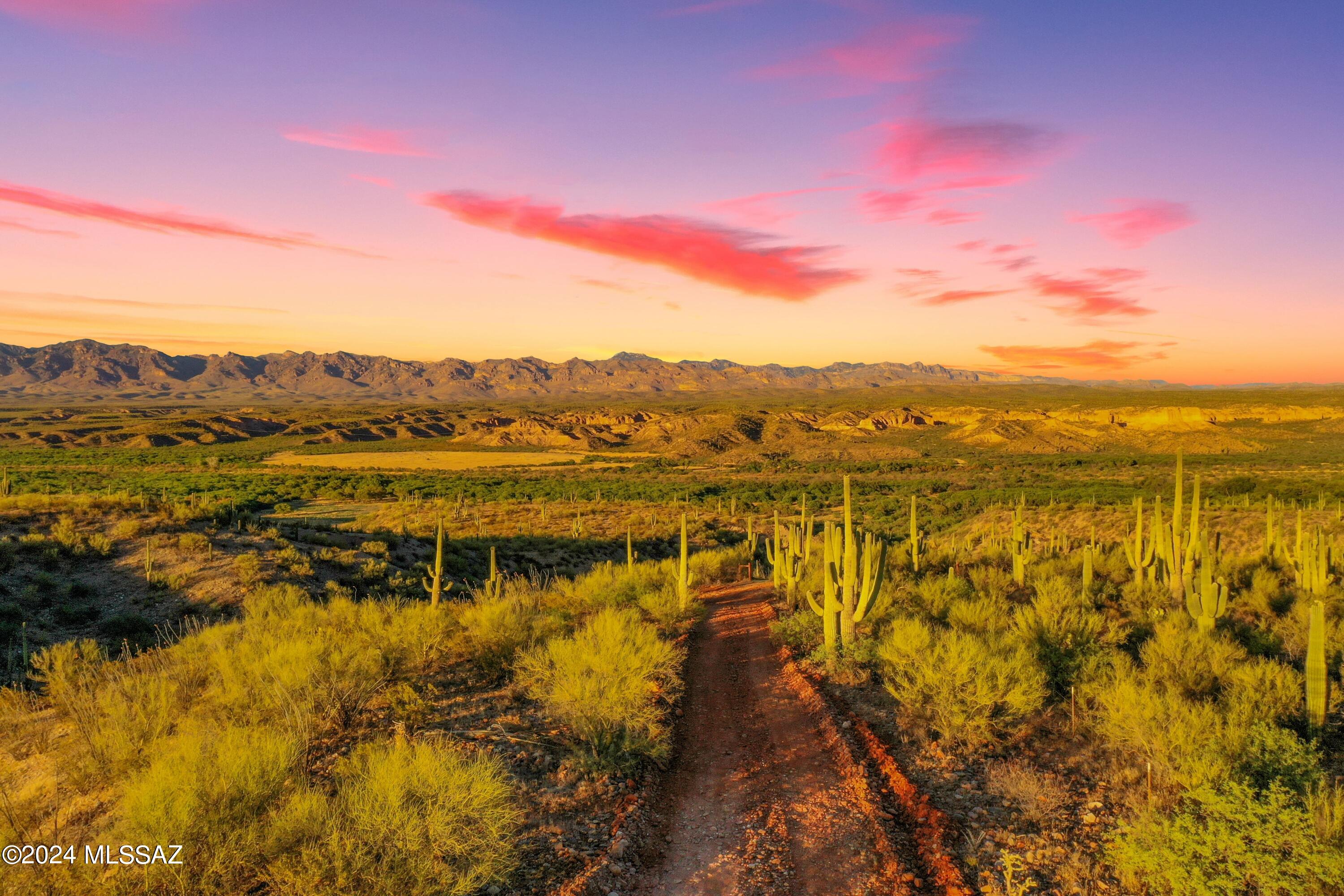 13725 N San Pedro River Road 2