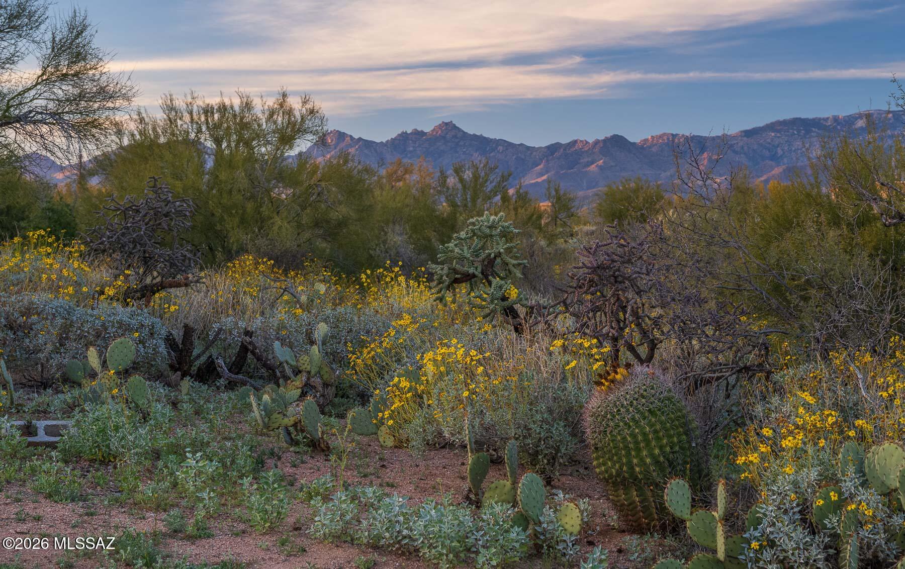 Old Spanish Trail Estates - Land