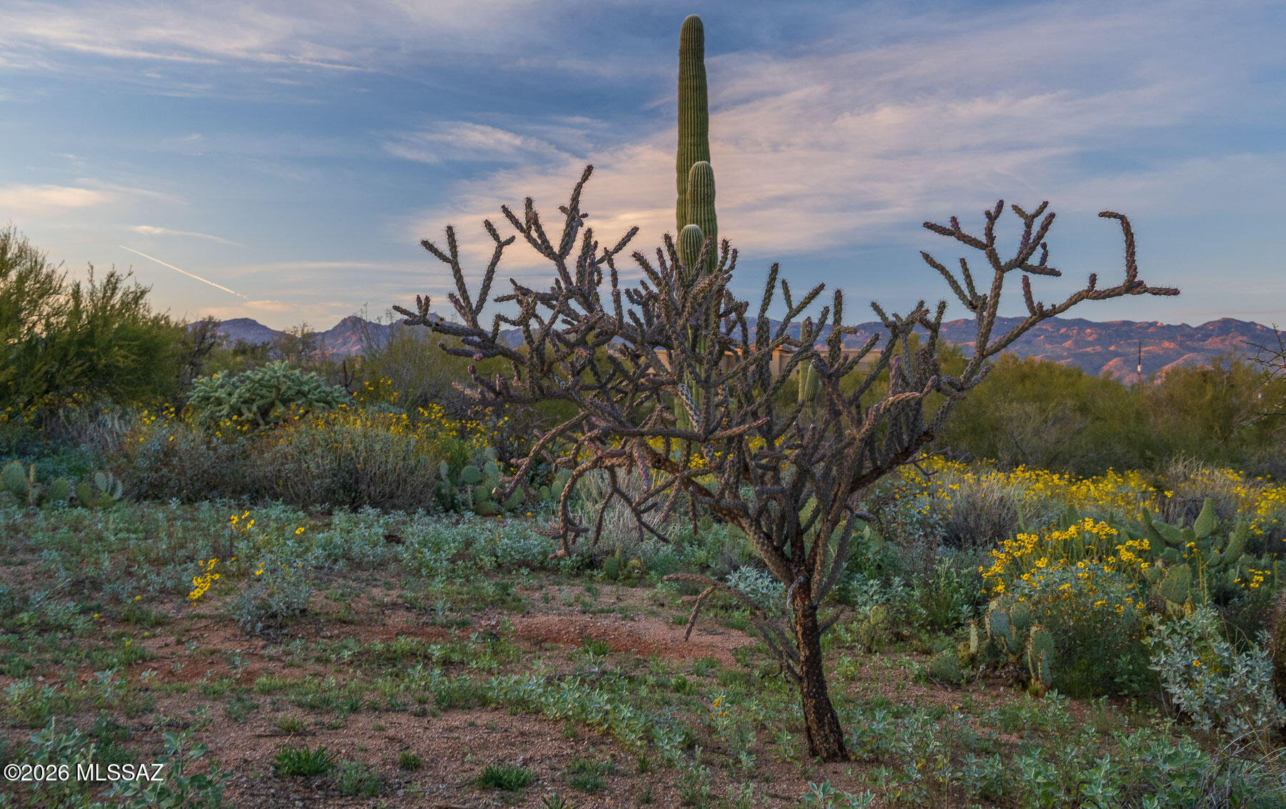 Old Spanish Trail Estates - Land