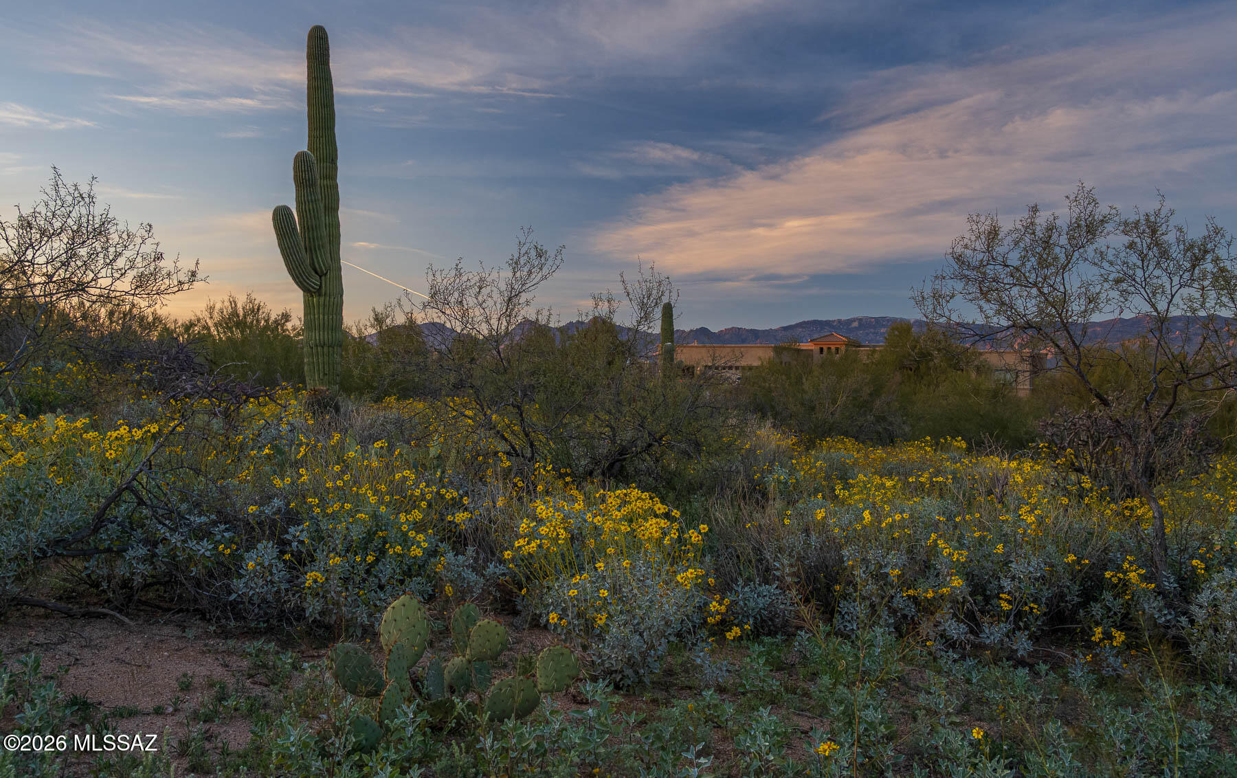 Old Spanish Trail Estates - Land