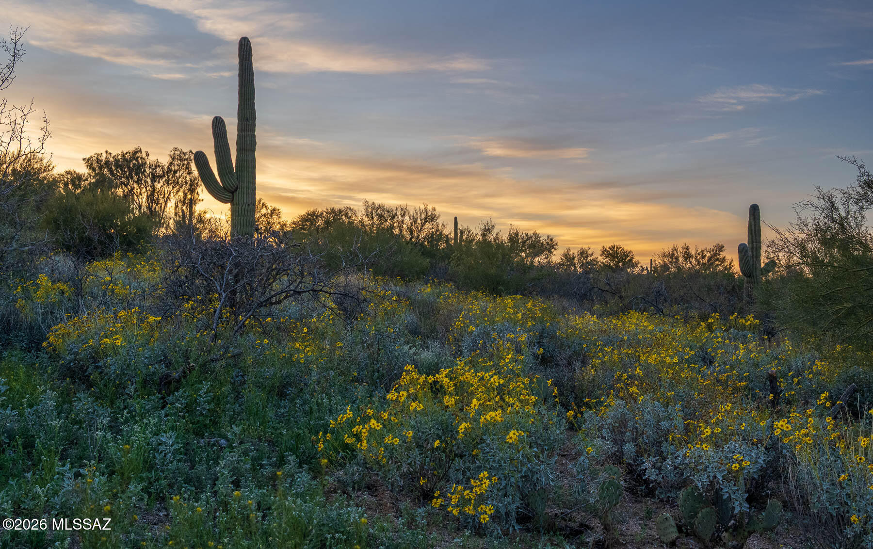 Old Spanish Trail Estates - Land