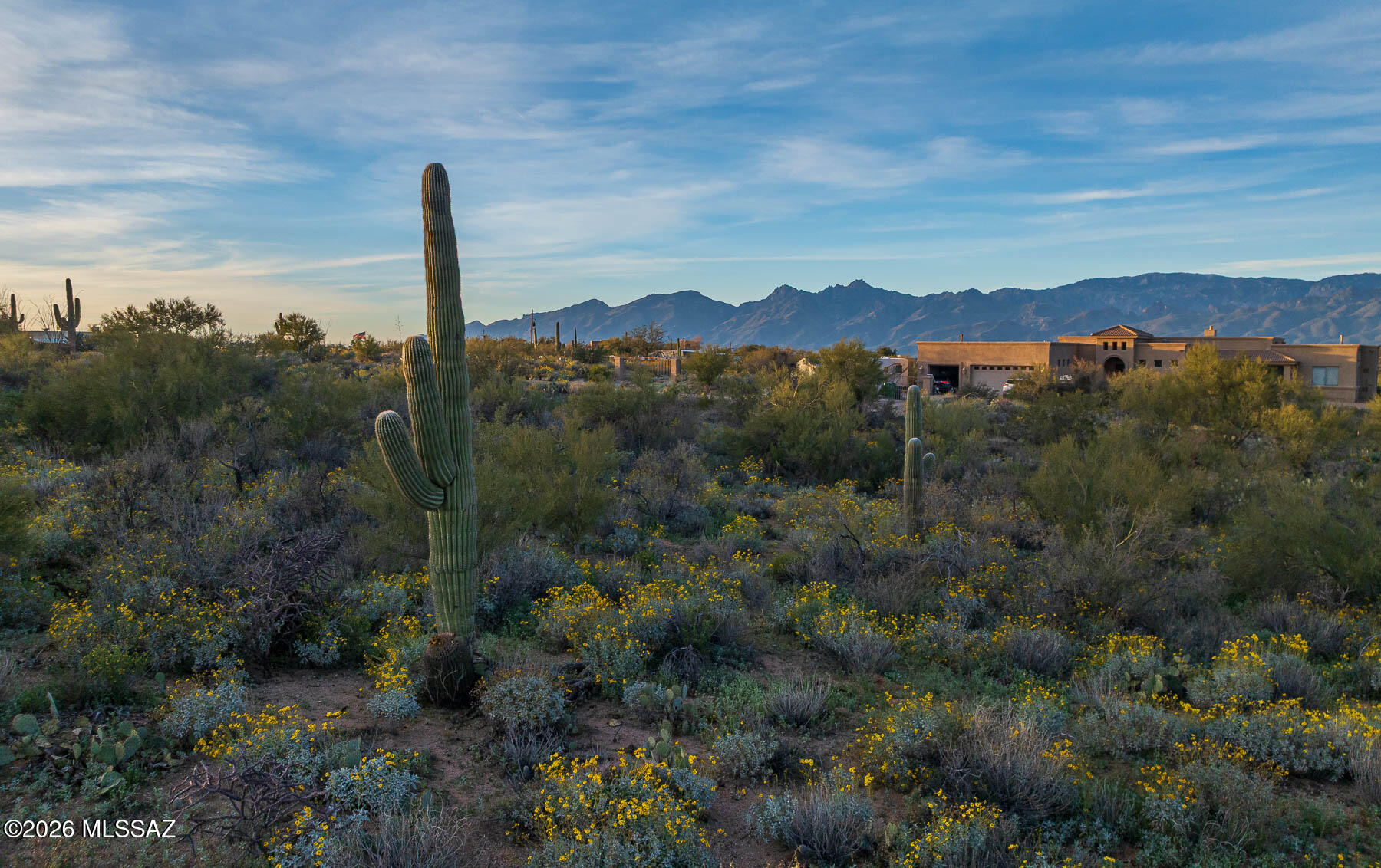 Old Spanish Trail Estates - Land