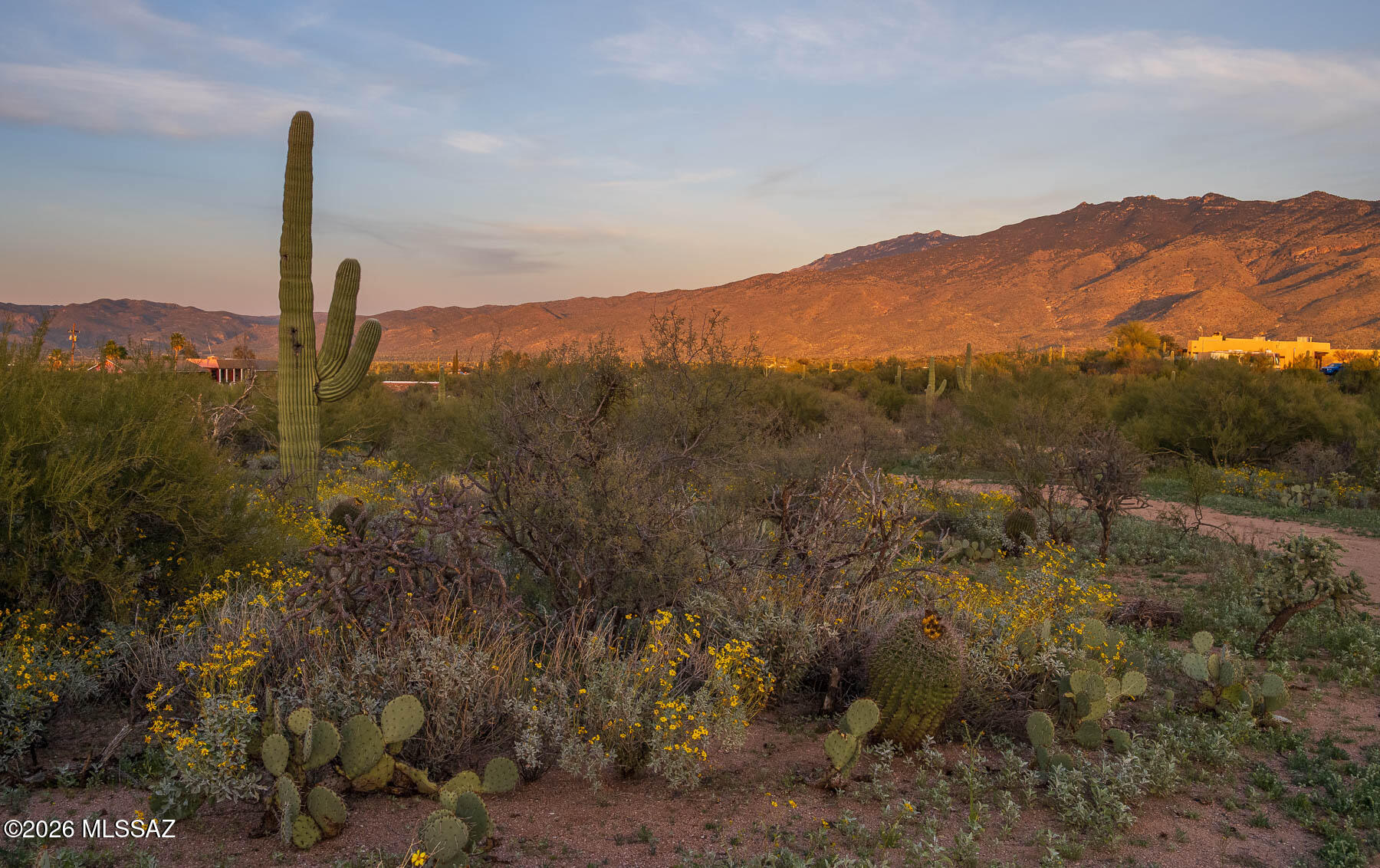Old Spanish Trail Estates - Land