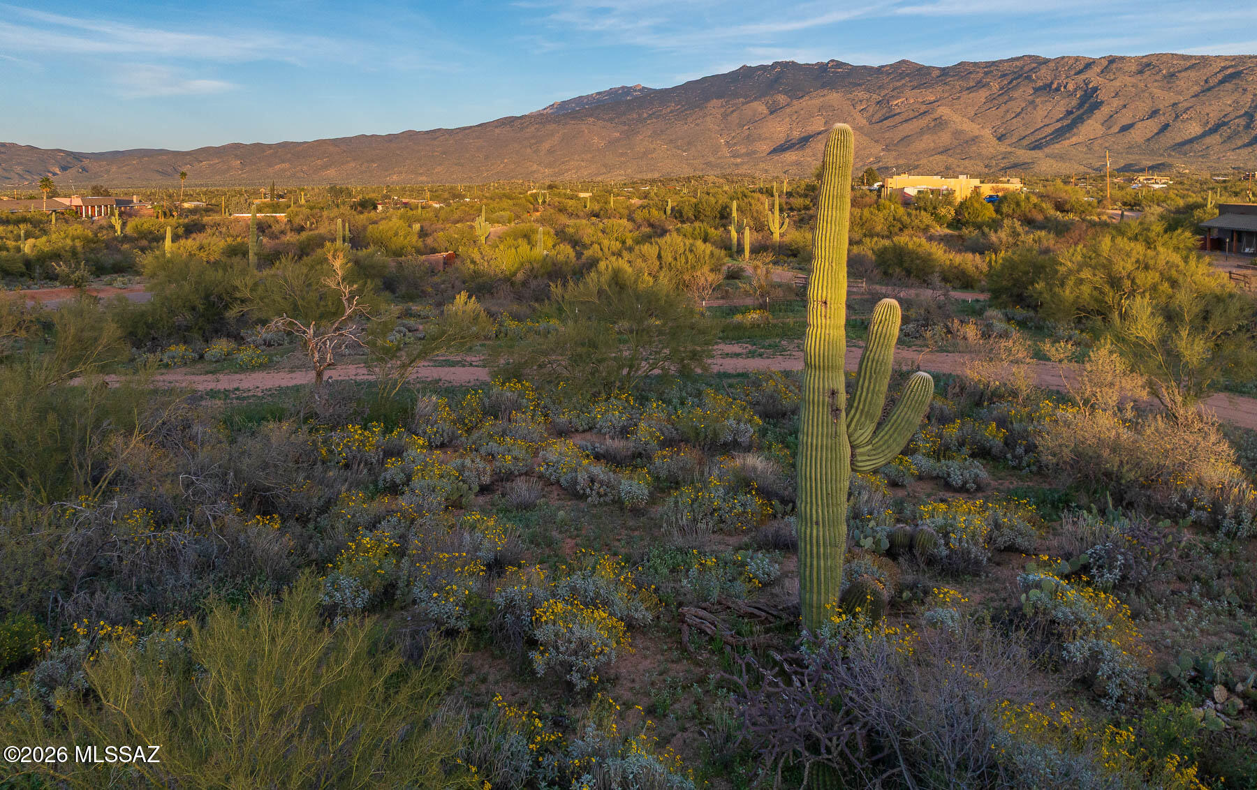 Old Spanish Trail Estates - Land