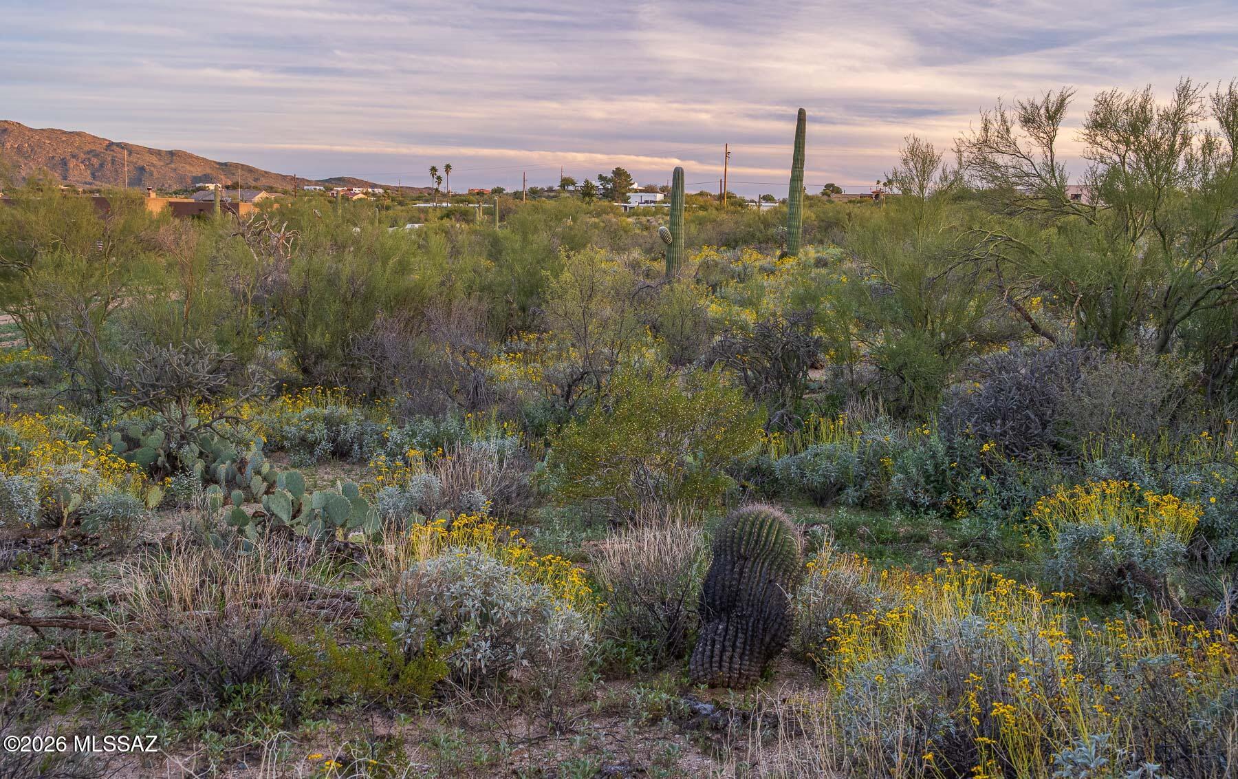 Old Spanish Trail Estates - Land
