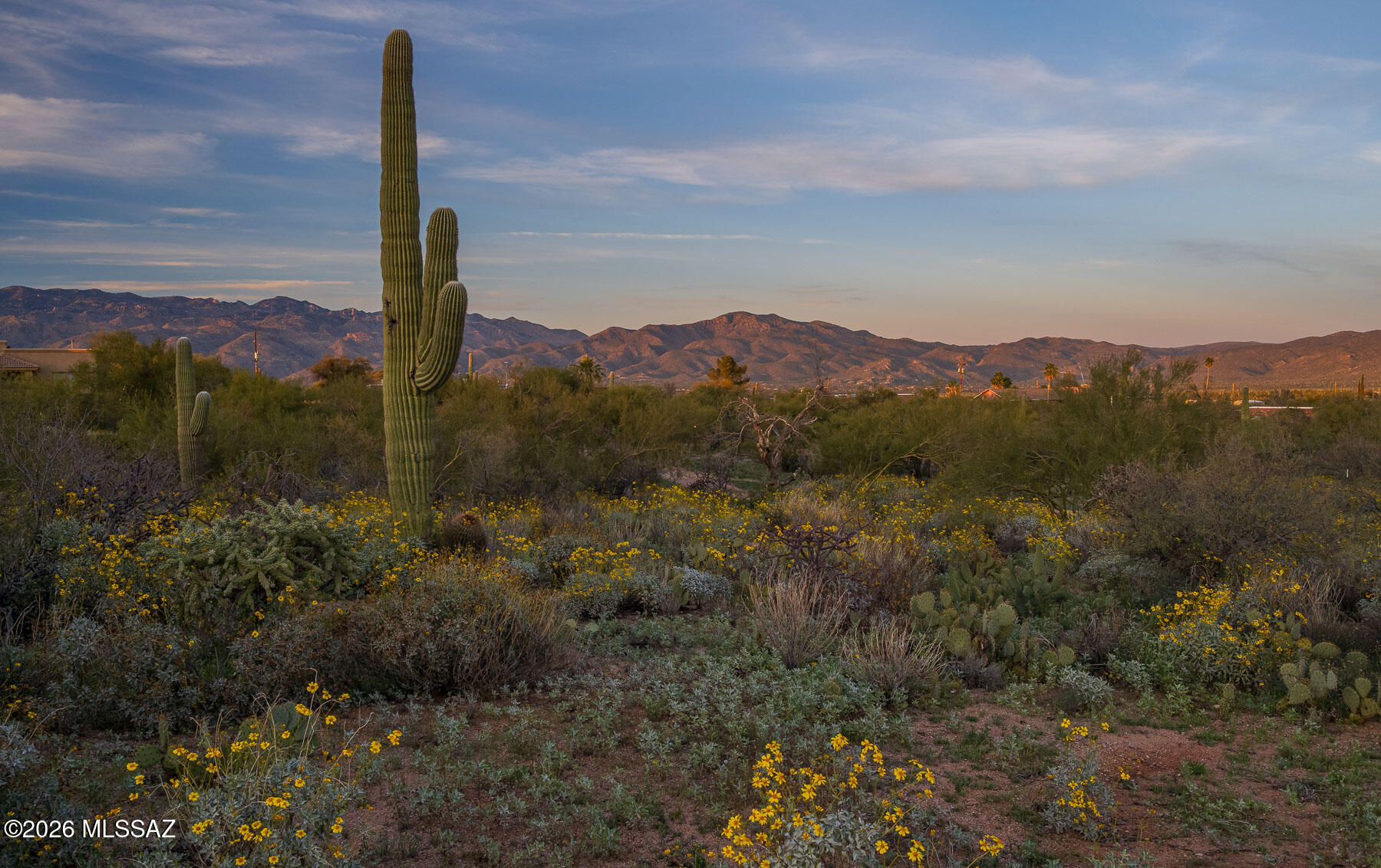 Old Spanish Trail Estates - Land