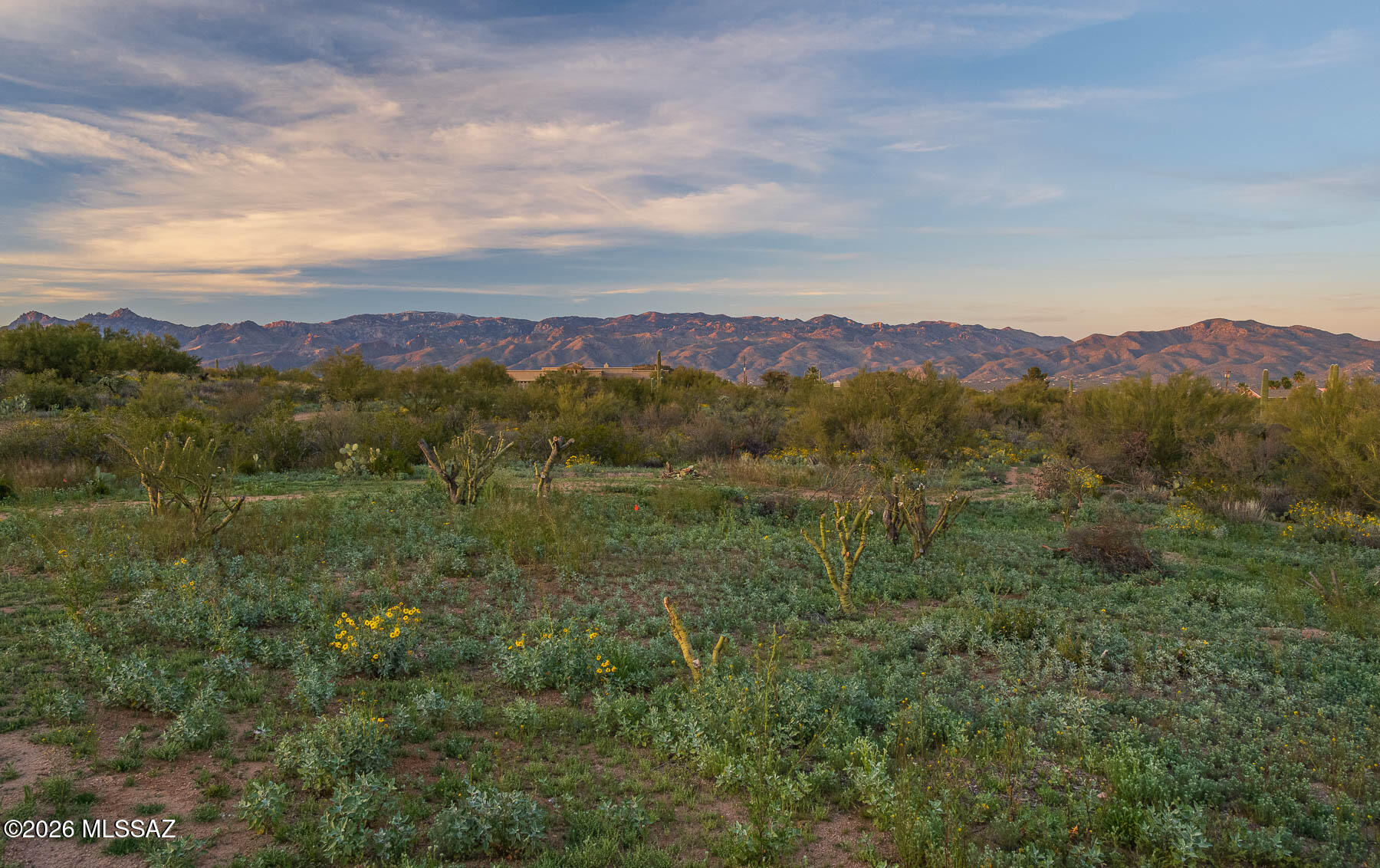 Old Spanish Trail Estates - Land