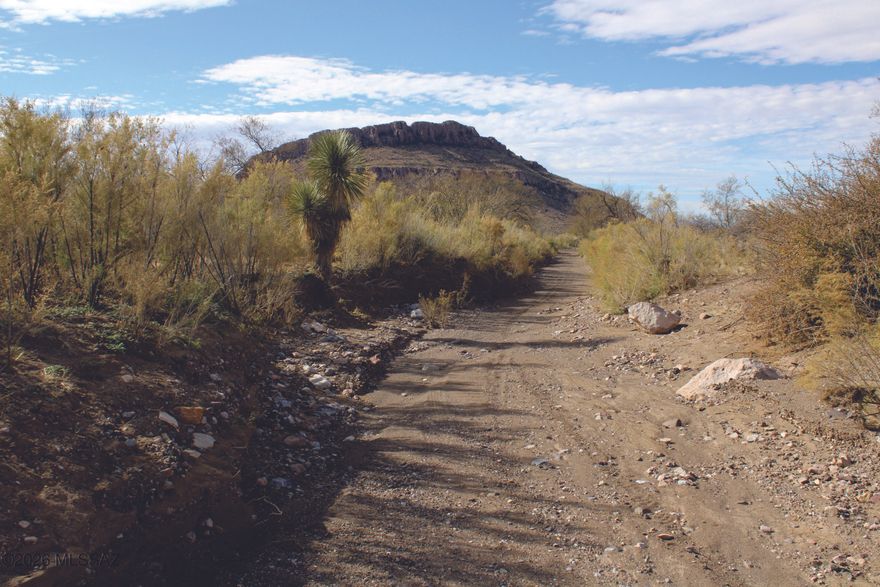 Remote, 20 acre Cochise County RU-4 zoned property. Owner builder Opt-out is an option for you. You can be away from all the stress and be back in town quickly for supplies. This picturesque location is one in a million. Enjoy the serenity of this secluded location, perfect to start your off-grid dream. Seller financing is available with $3900 Down plus Pioneer Title account setup and closing Costs, for 3 years at 9.9 percent interest. with a payment of $289.98 per month plus Pioneer Title Processing fee and impounded property tax.