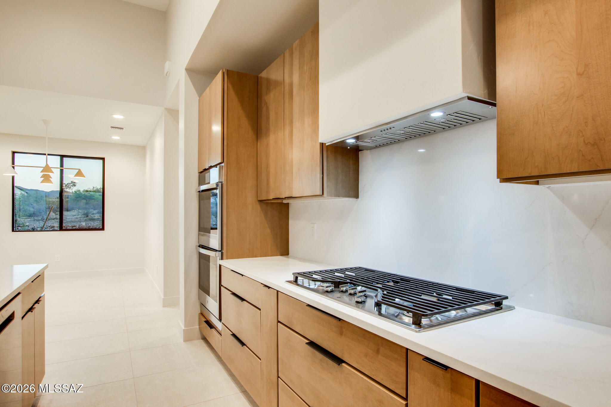 2769 W Black Cloud Court