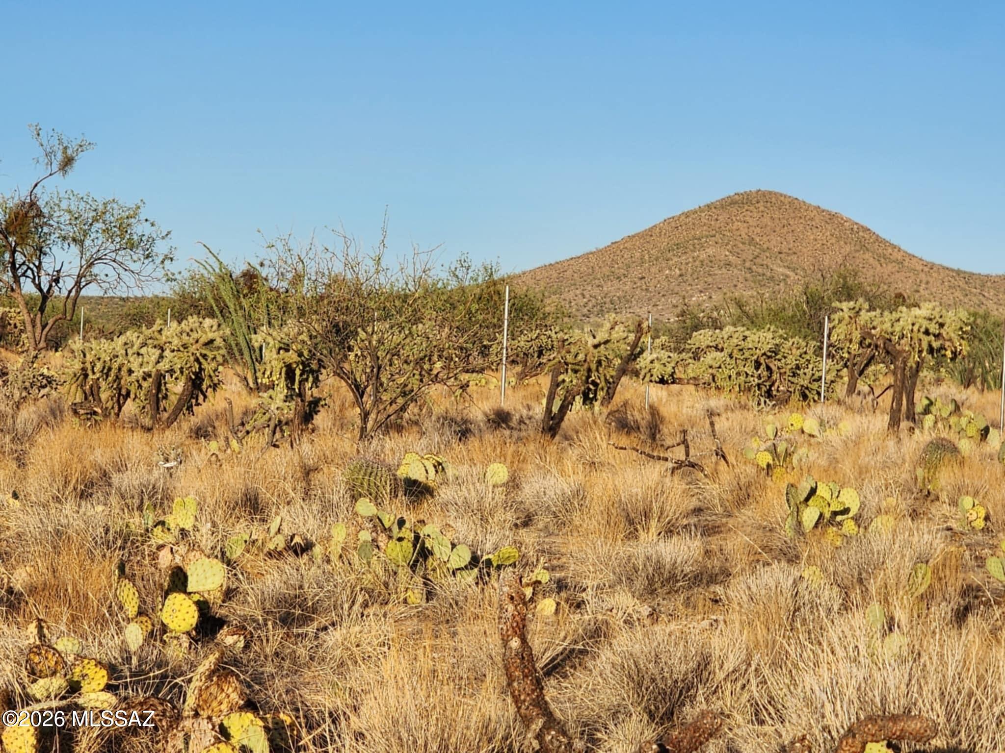 Diamond Bell Ranch - Tucson Unit 6 (1-435) - Land