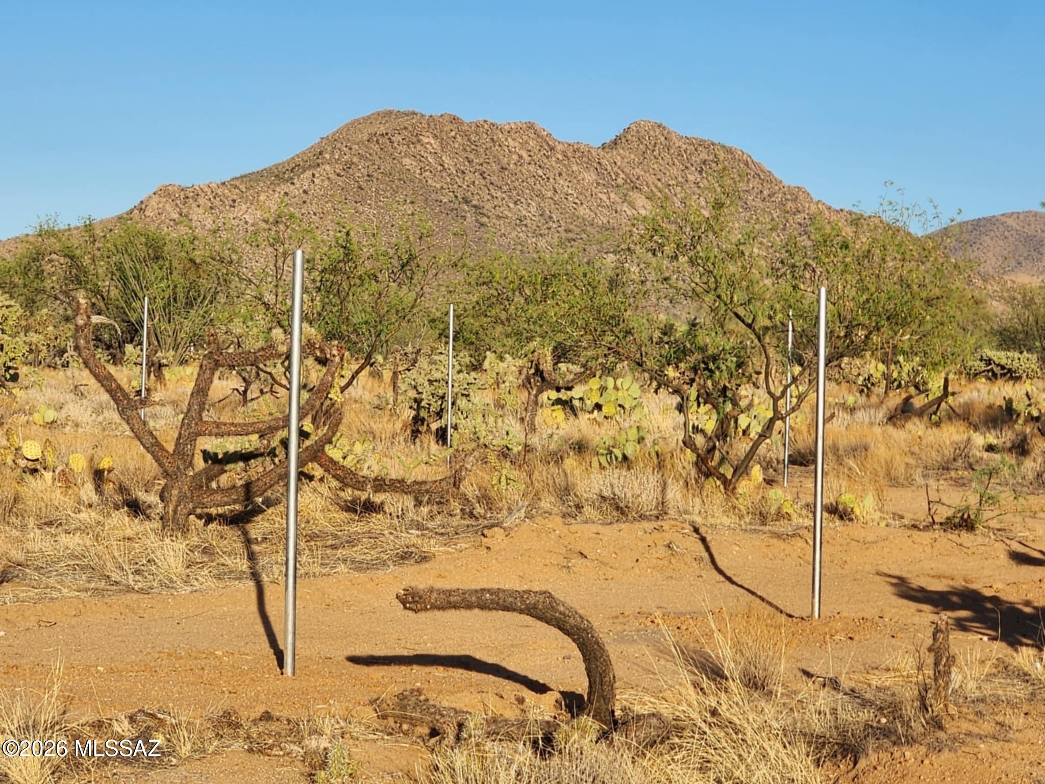 Diamond Bell Ranch - Tucson Unit 6 (1-435) - Land
