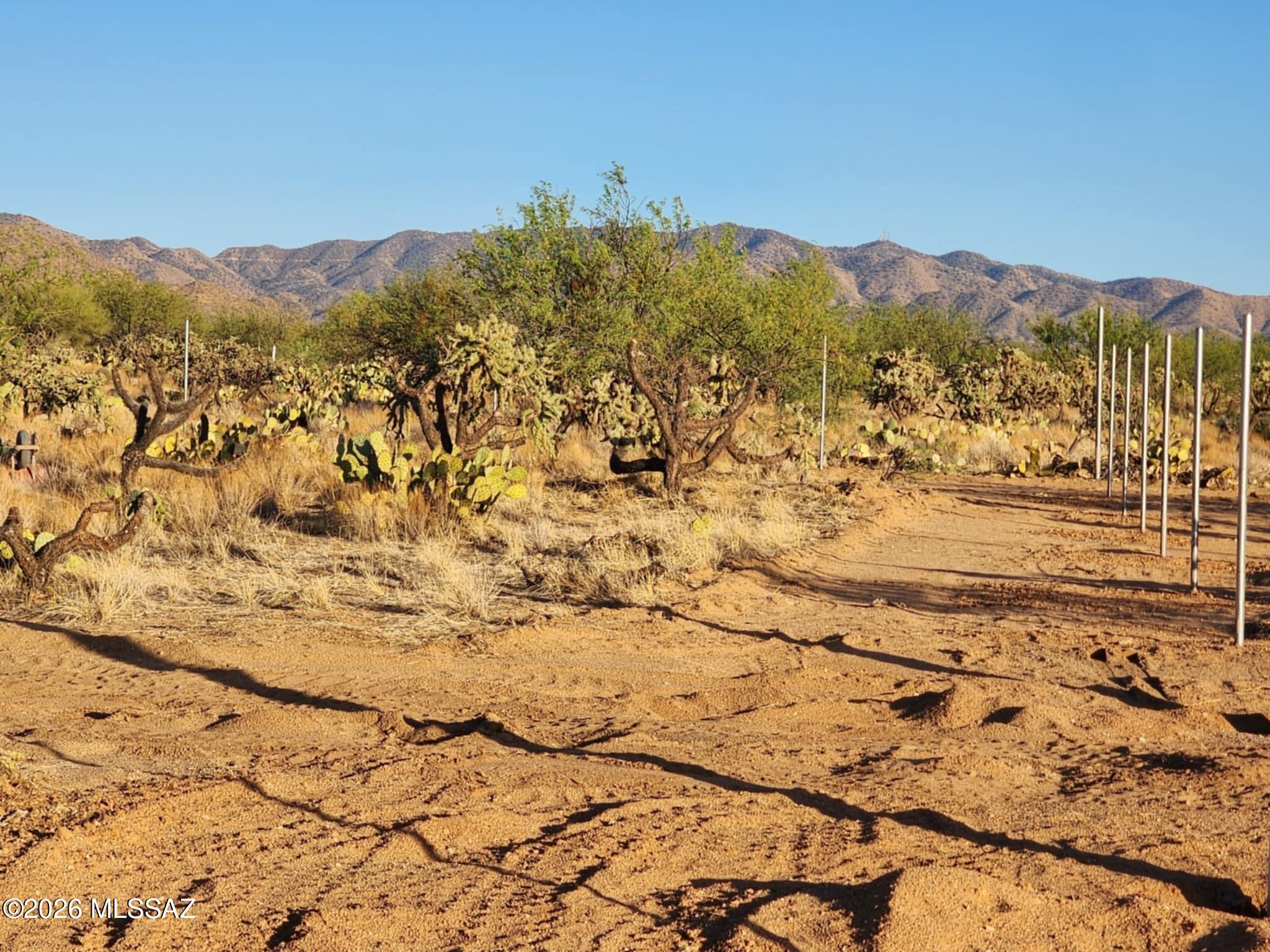 Diamond Bell Ranch - Tucson Unit 6 (1-435) - Land