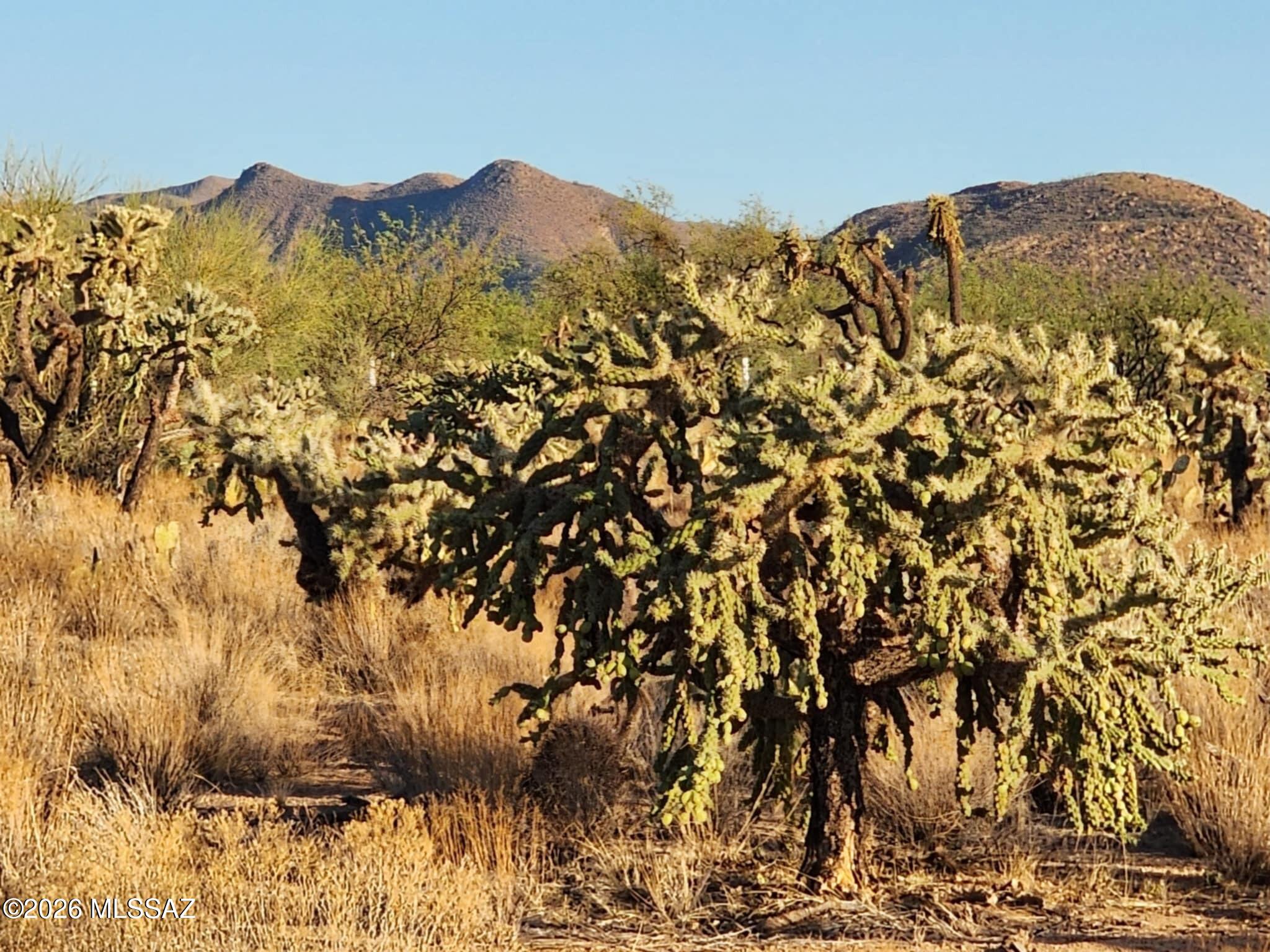 Diamond Bell Ranch - Tucson Unit 6 (1-435) - Land