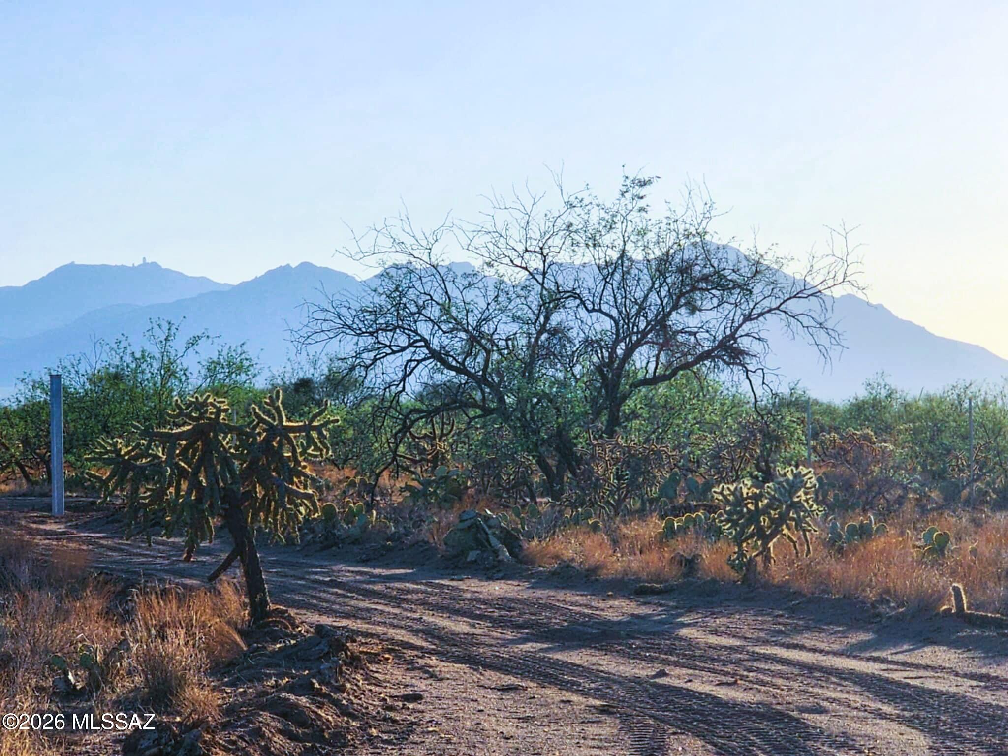 Diamond Bell Ranch - Tucson Unit 6 (1-435) - Land