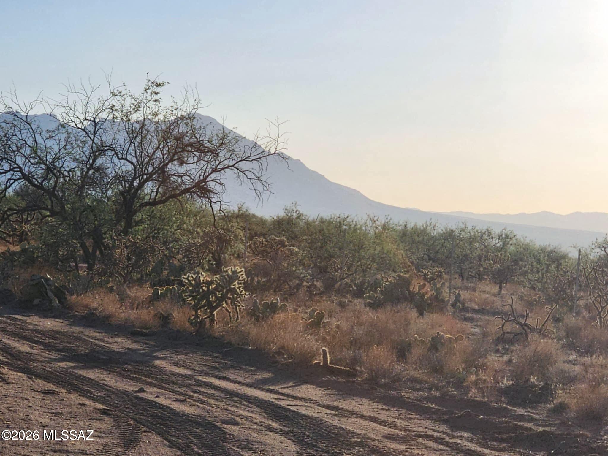 Diamond Bell Ranch - Tucson Unit 6 (1-435) - Land