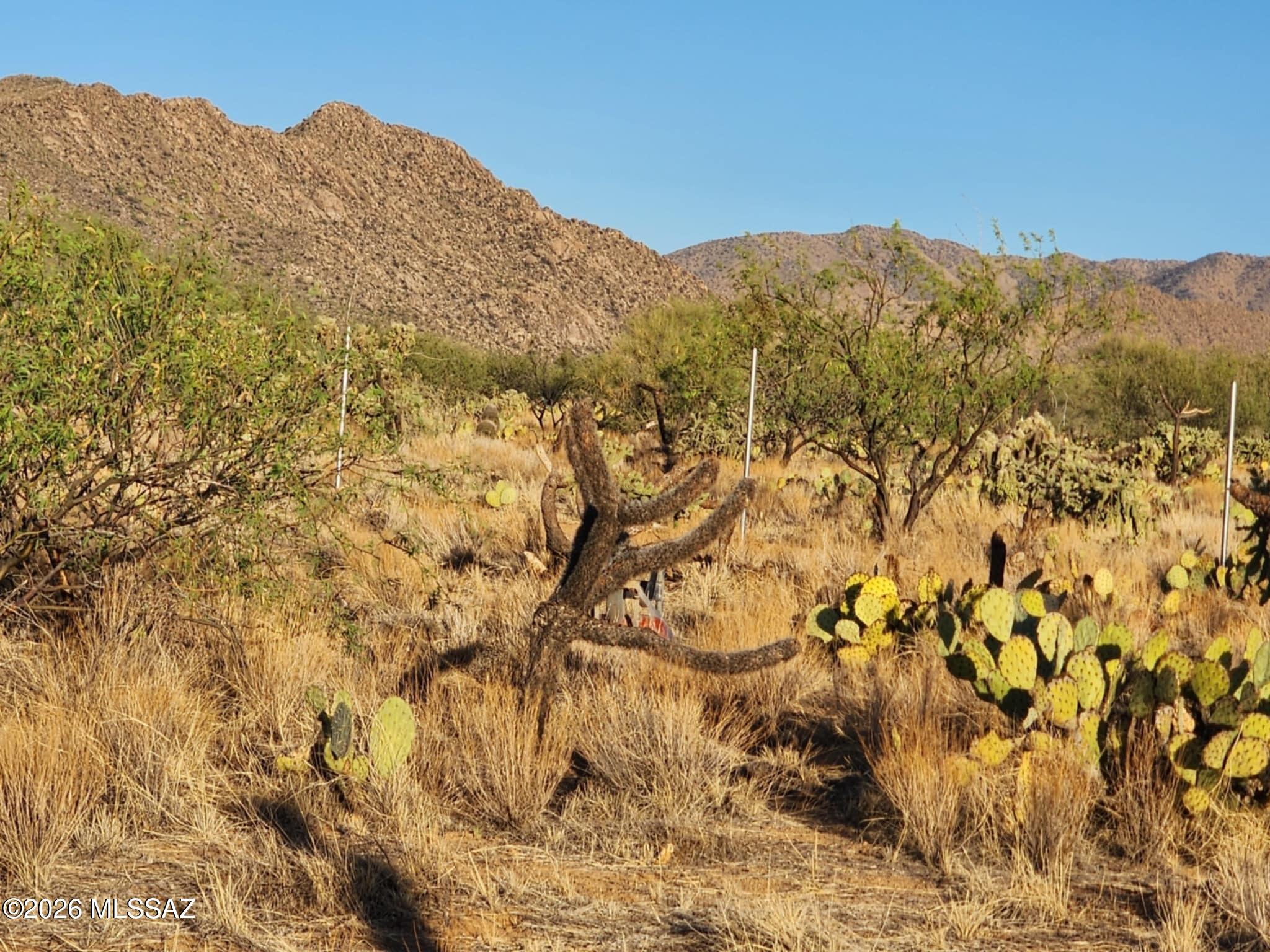 Diamond Bell Ranch - Tucson Unit 6 (1-435) - Land