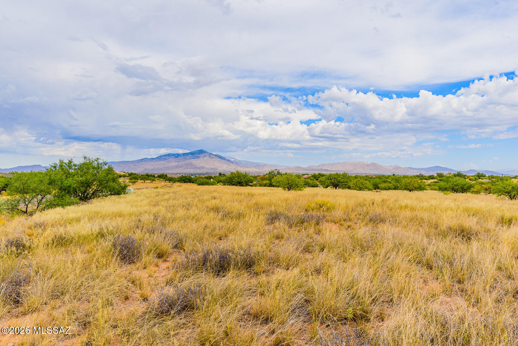 Red Hawk at J-6 Ranch - Land