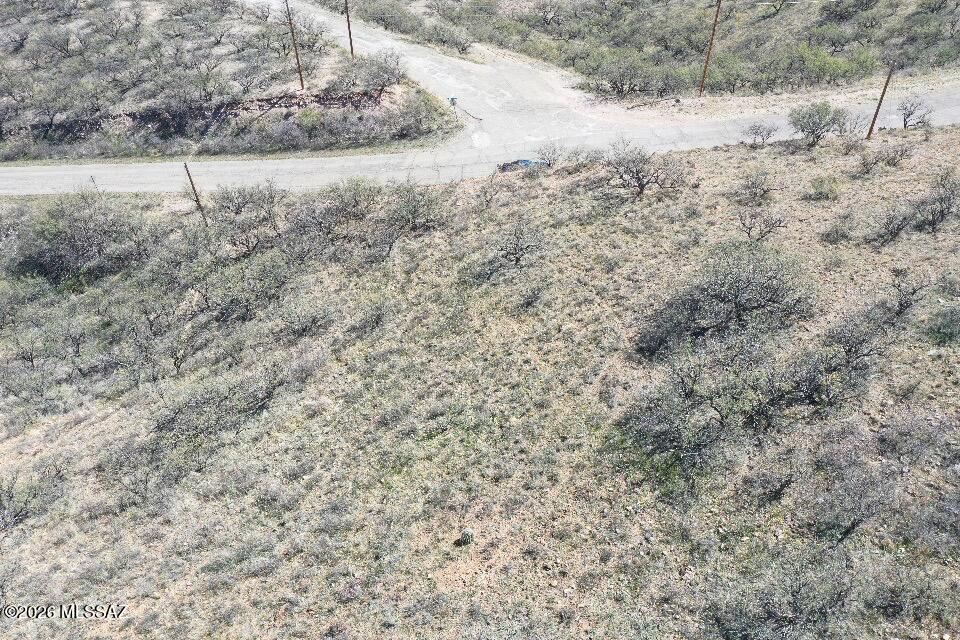 1161 Corrida De Toros 7