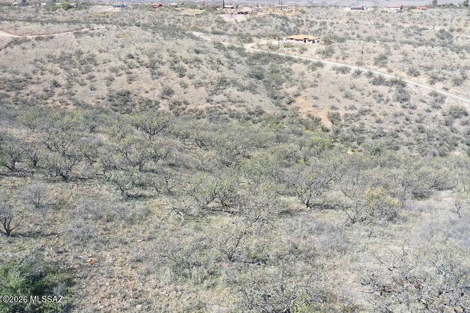 1161 Corrida De Toros 7