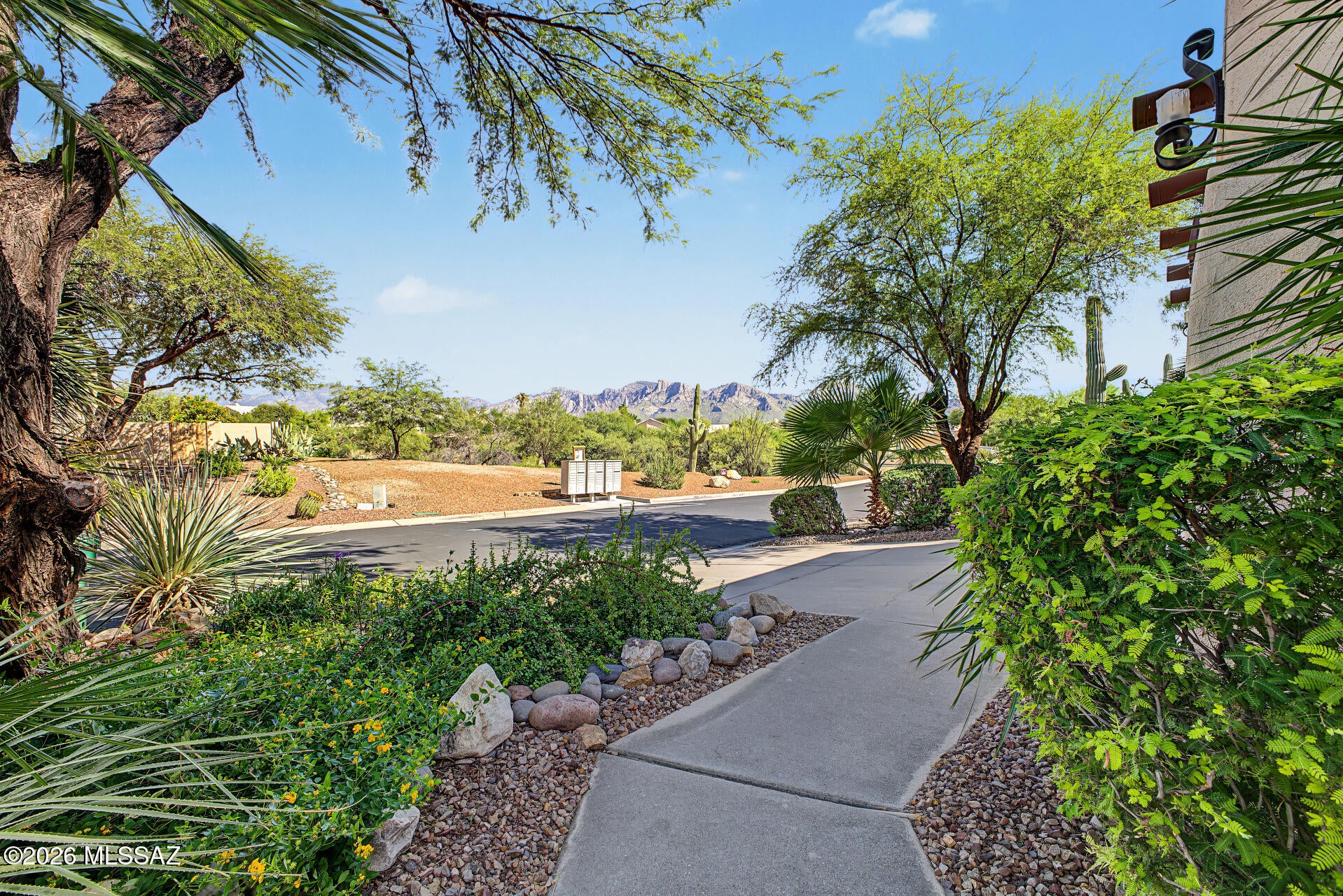 11401 N Palmetto Dunes Avenue