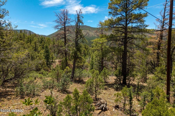34 COUNTY RD 2279, NUTRIOSO, AZ 85932 - Image b2dc9cb4ecfa15b3ec71eecfae67f646/3715073136