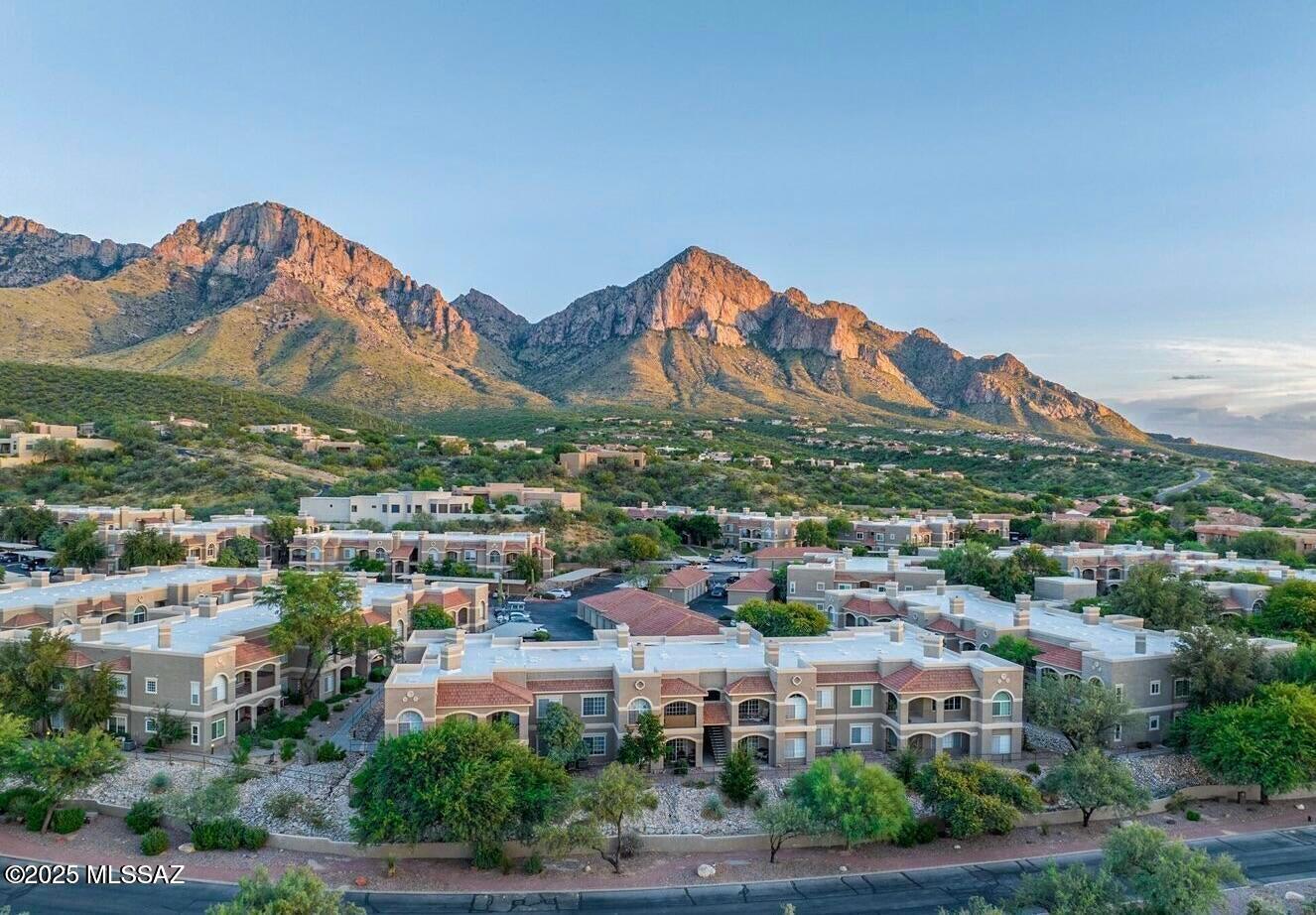 1500 E Pusch Wilderness Drive 2102