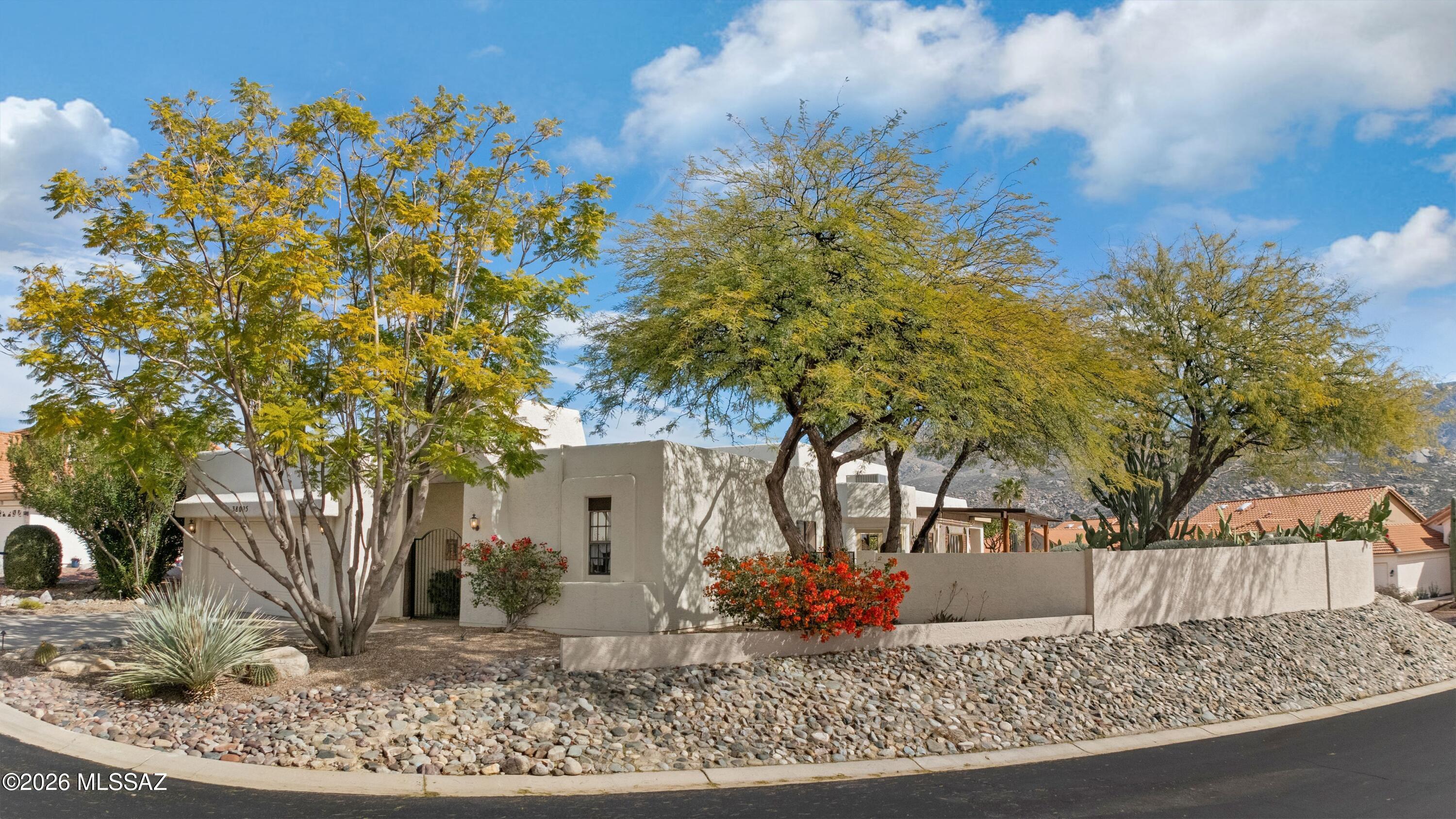 Saddlebrooke - Residential