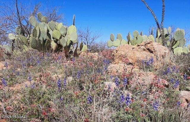 Tubac Foothills Ranch - Land