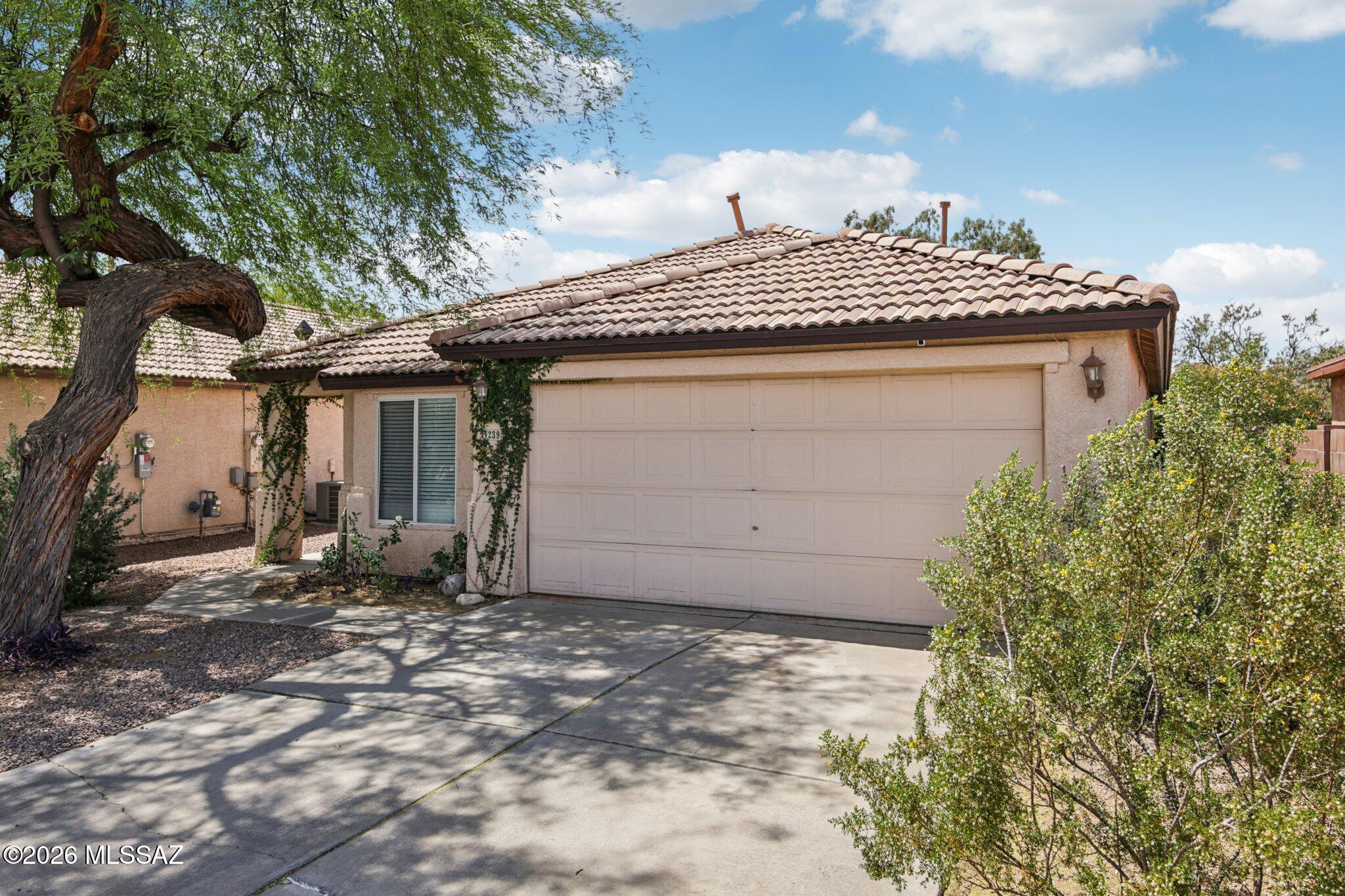 2395 W Silverbell Oasis Way