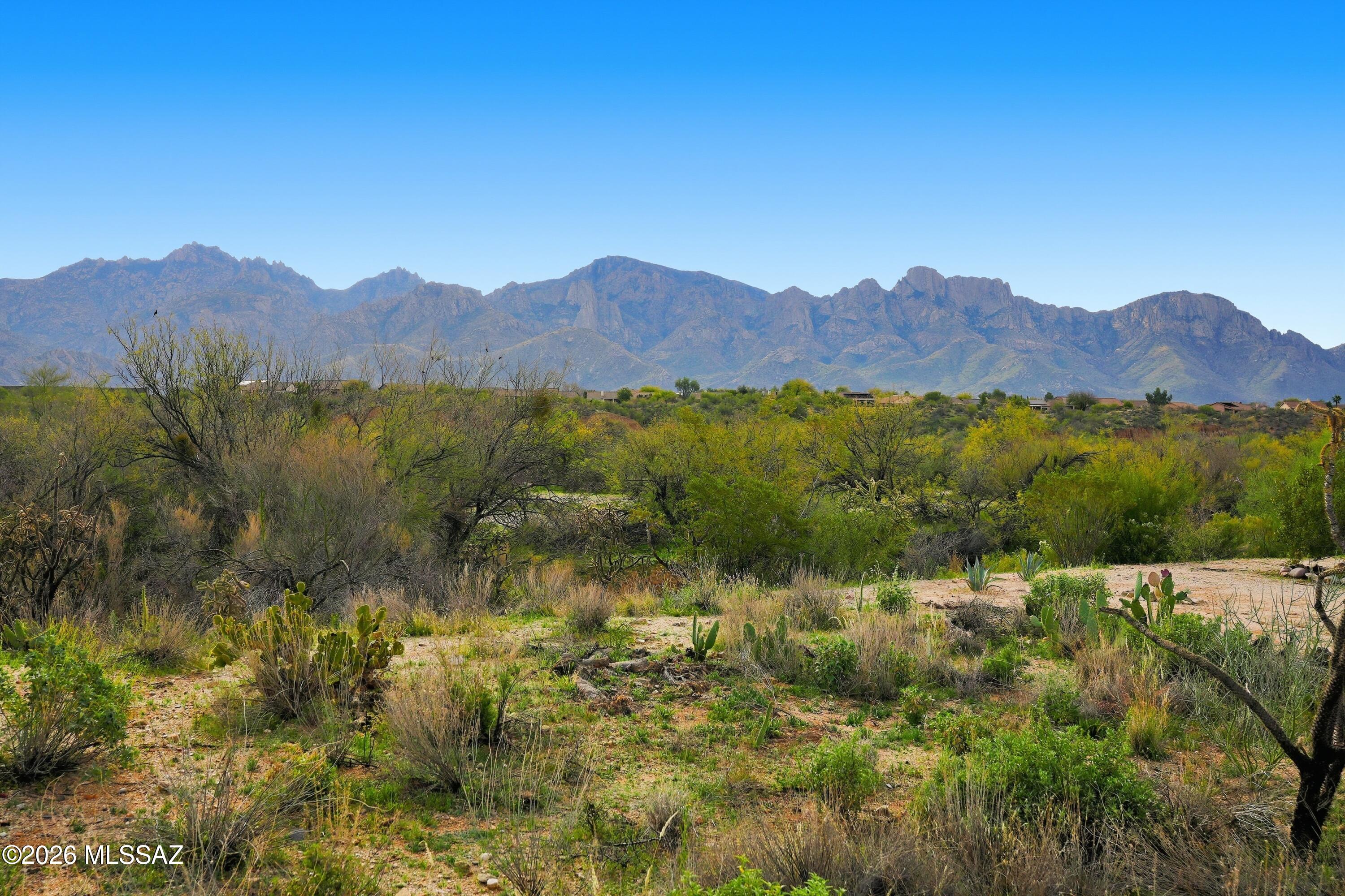 Sun City Vistoso Unit 12(1-277) - Residential