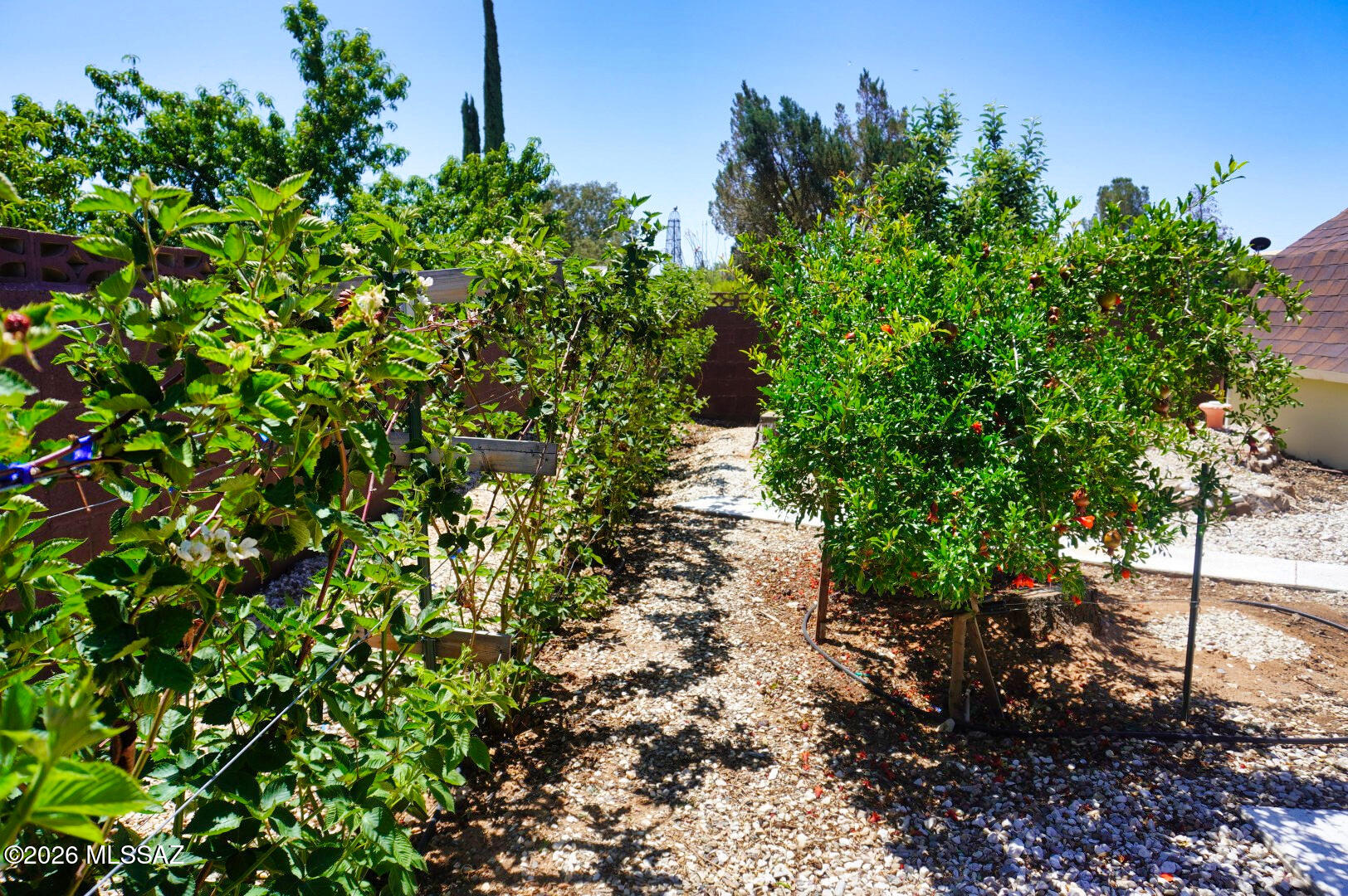 Arizona Sun Sites - Residential